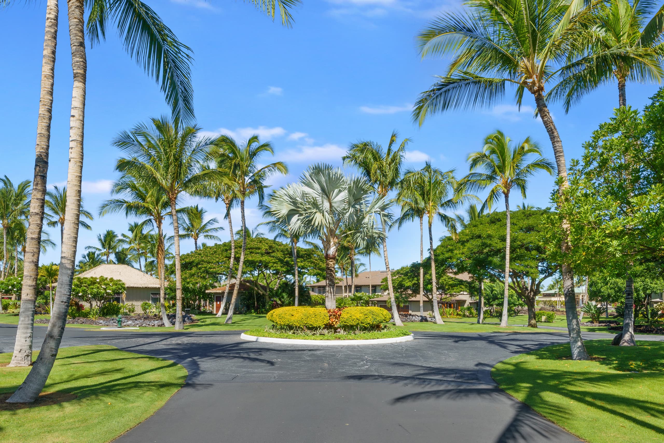 Condo in Waimea · ★4.83 · 2 bedrooms · 2 beds · 2 baths - Image 50