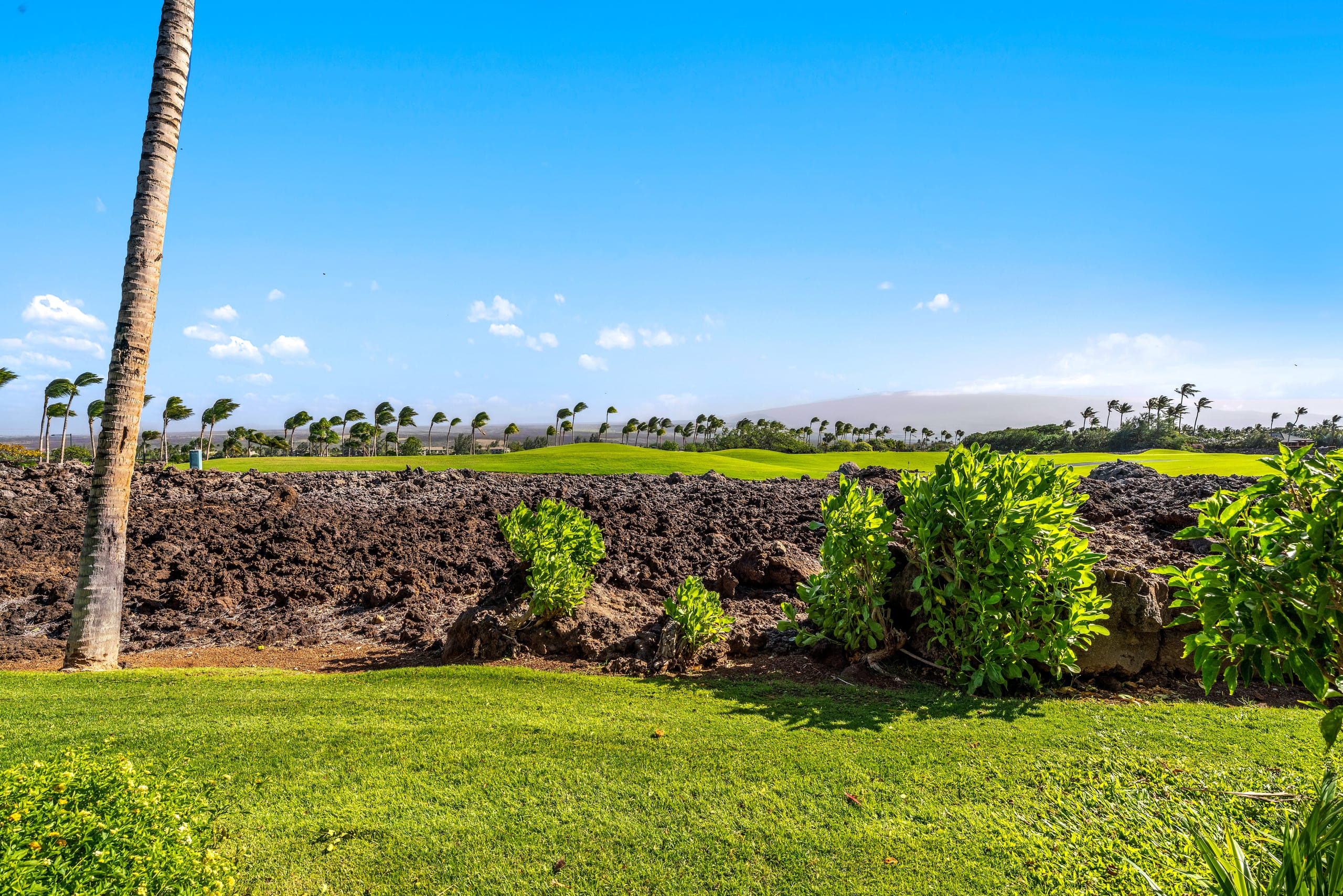 Condo in Waimea · ★4.83 · 2 bedrooms · 2 beds · 2 baths - Image 47