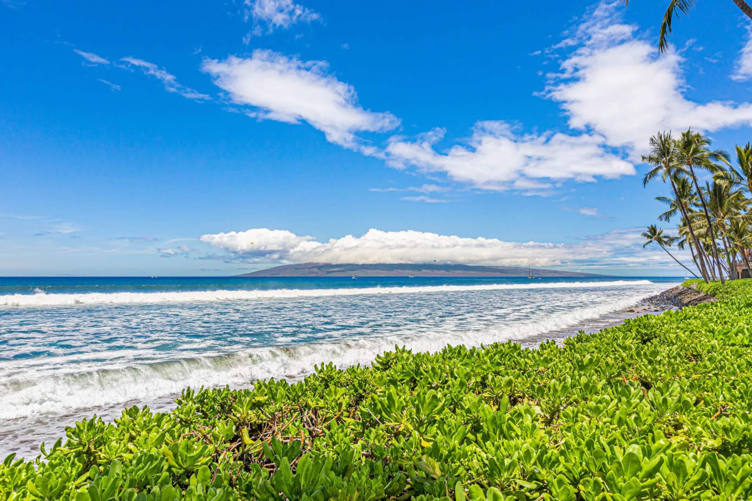 Townhouse in Lahaina · ★5.0 · 2 bedrooms · 3 beds · 2 baths - Image 51