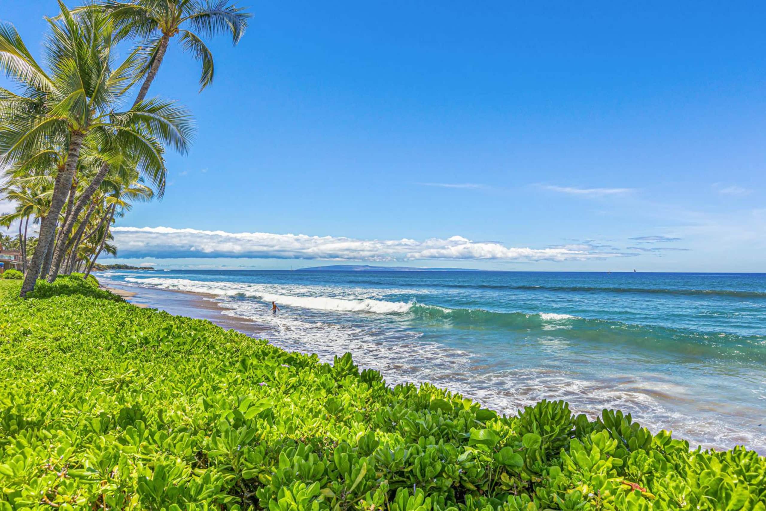 Townhouse in Lahaina · ★5.0 · 2 bedrooms · 3 beds · 2 baths - Image 52