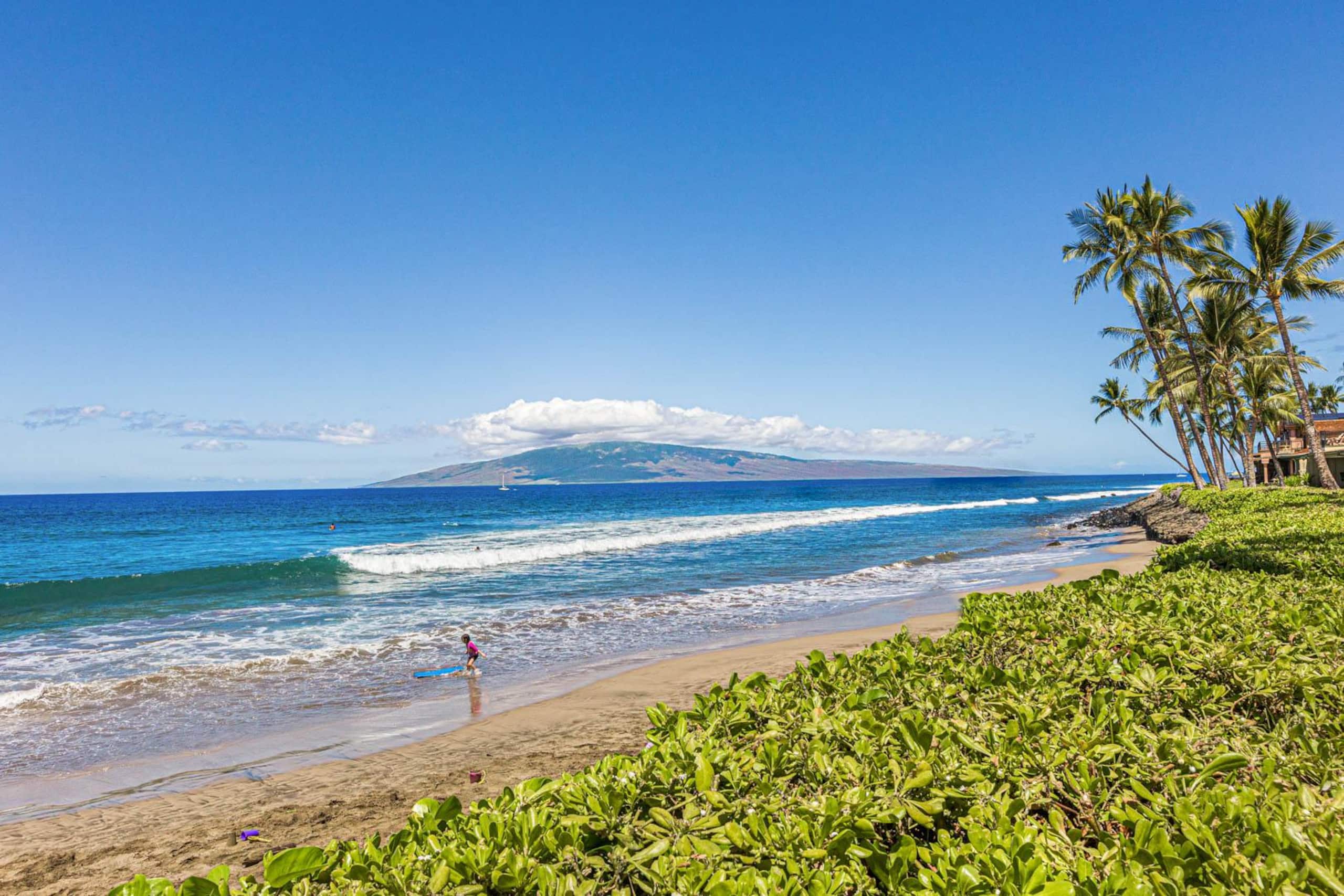 Townhouse in Lahaina · ★5.0 · 2 bedrooms · 3 beds · 2 baths - Image 49