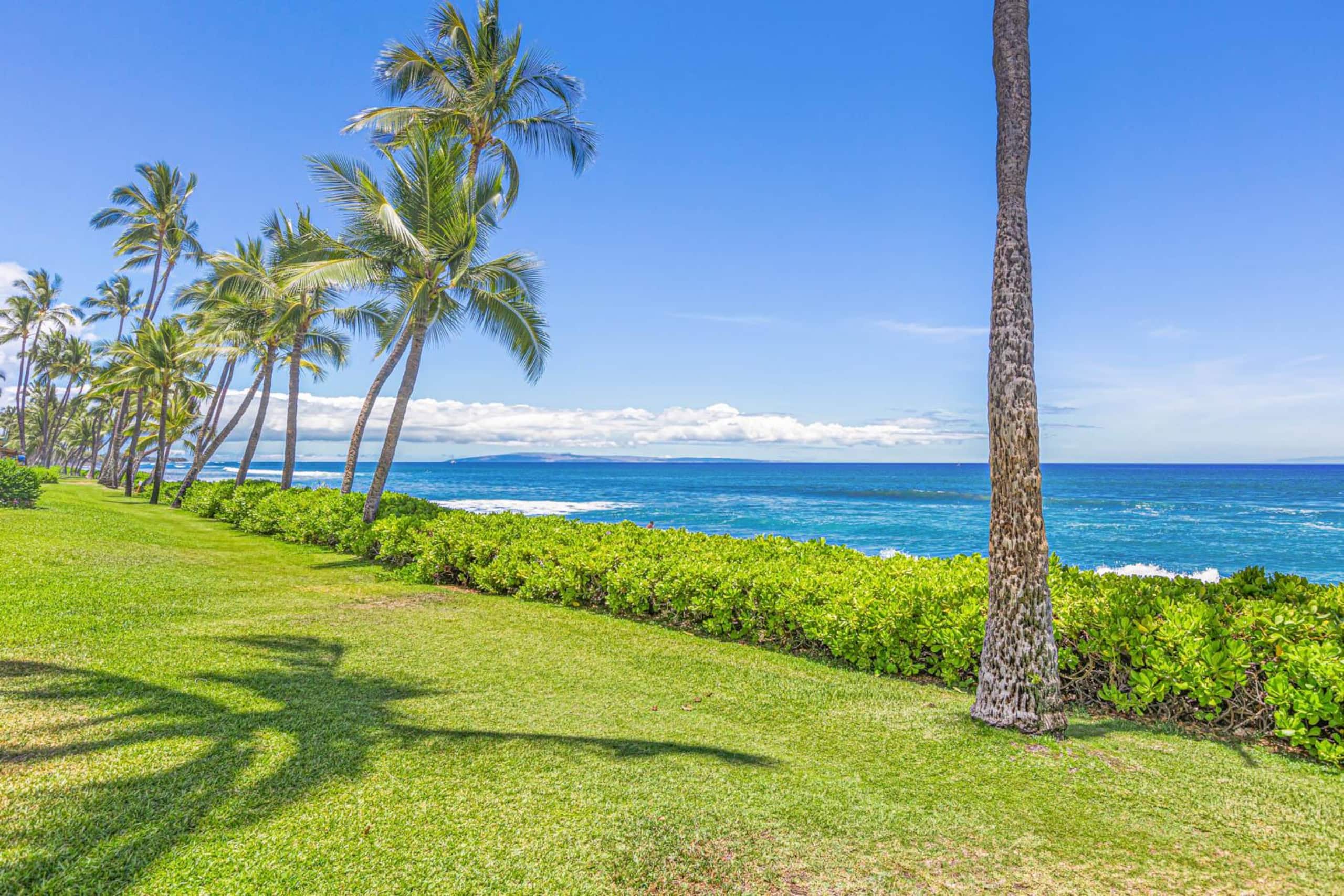 Townhouse in Lahaina · ★5.0 · 2 bedrooms · 3 beds · 2 baths - Image 50
