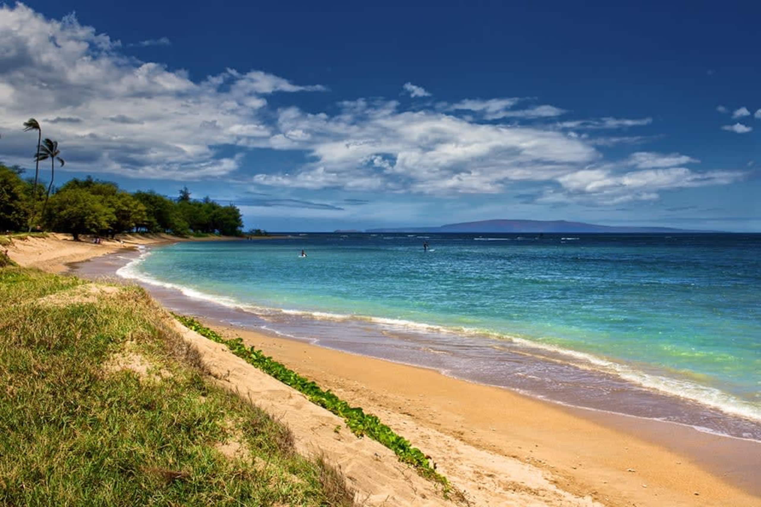 Condo in Kihei · ★4.97 · 1 bedroom · 2 beds · 1 private bath - Image 39
