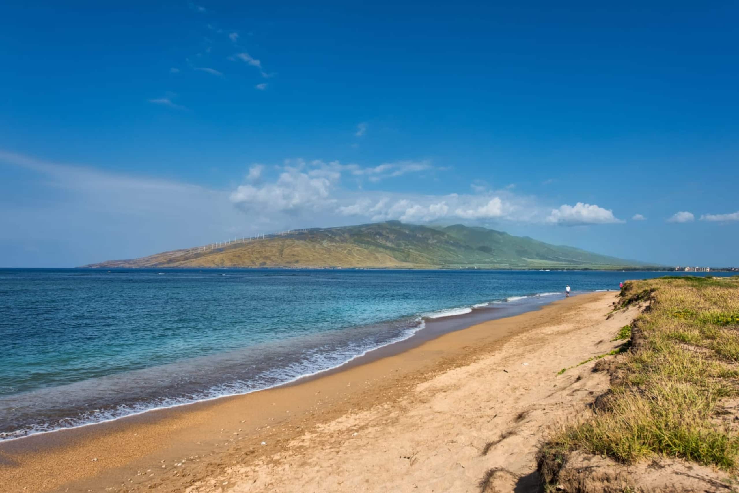 Condo in Kihei · ★4.97 · 1 bedroom · 2 beds · 1 private bath - Image 38