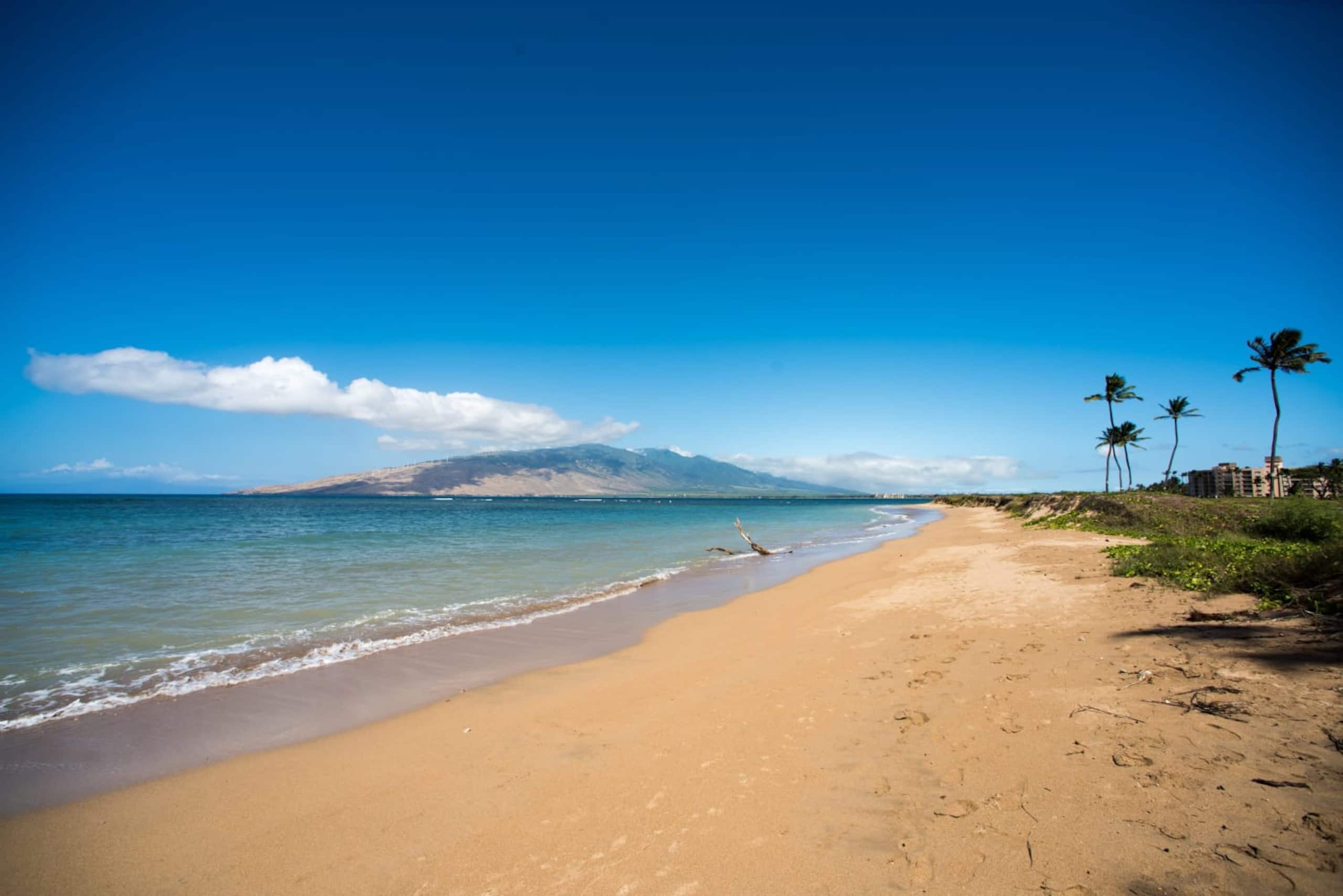 Condo in Kihei · ★4.97 · 1 bedroom · 2 beds · 1 private bath - Image 40