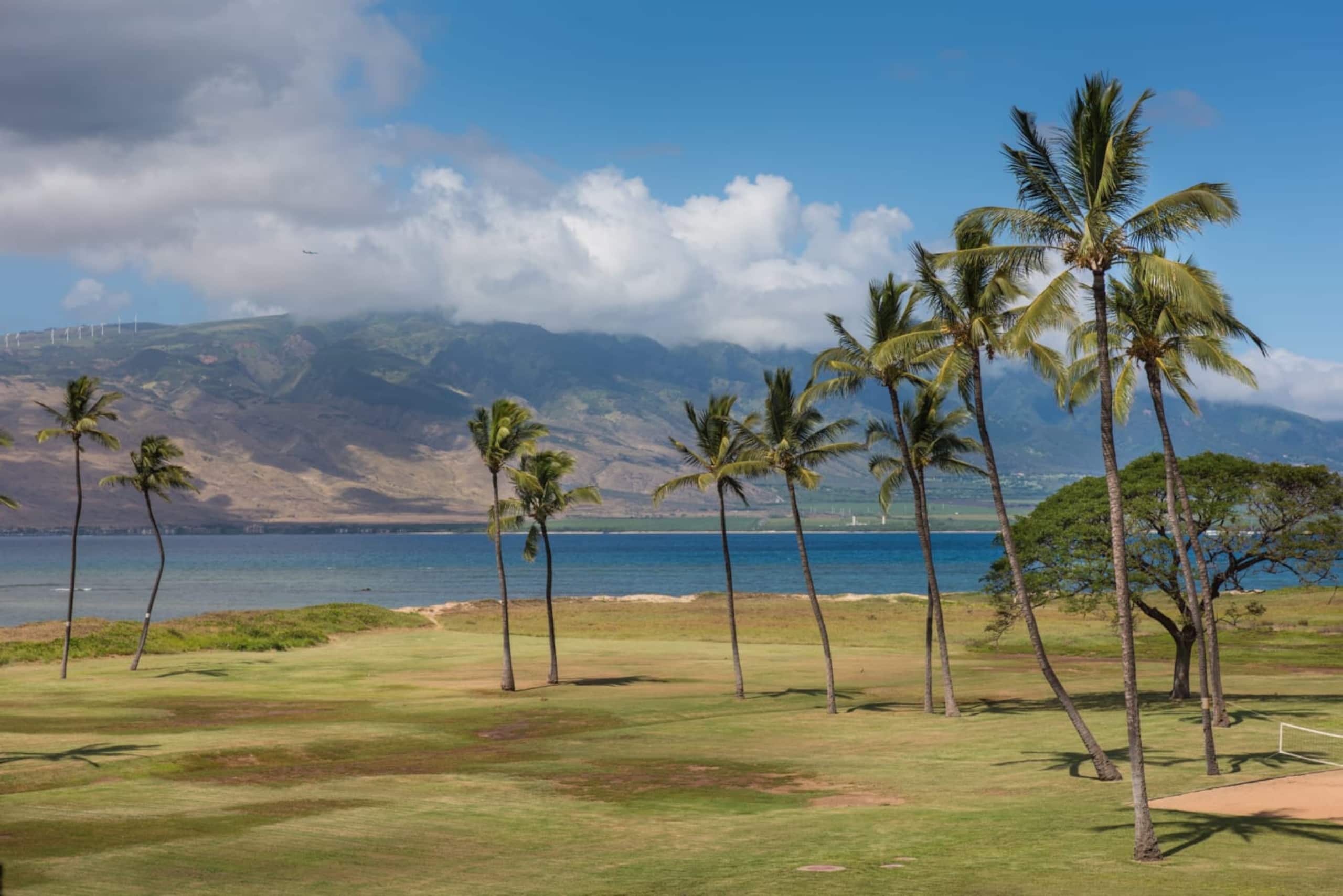 Condo in Kihei · ★4.97 · 1 bedroom · 2 beds · 1 private bath - Image 41
