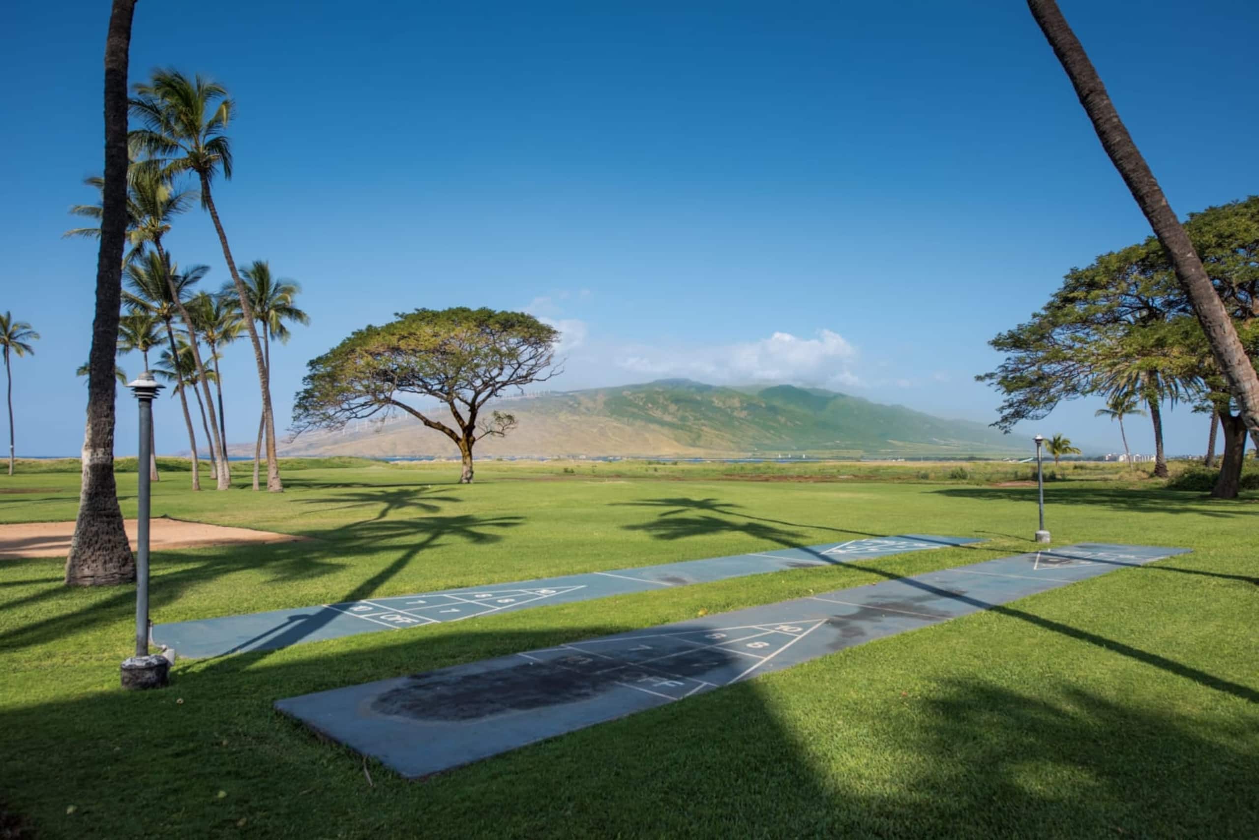 Condo in Kihei · ★4.97 · 1 bedroom · 2 beds · 1 private bath - Image 36