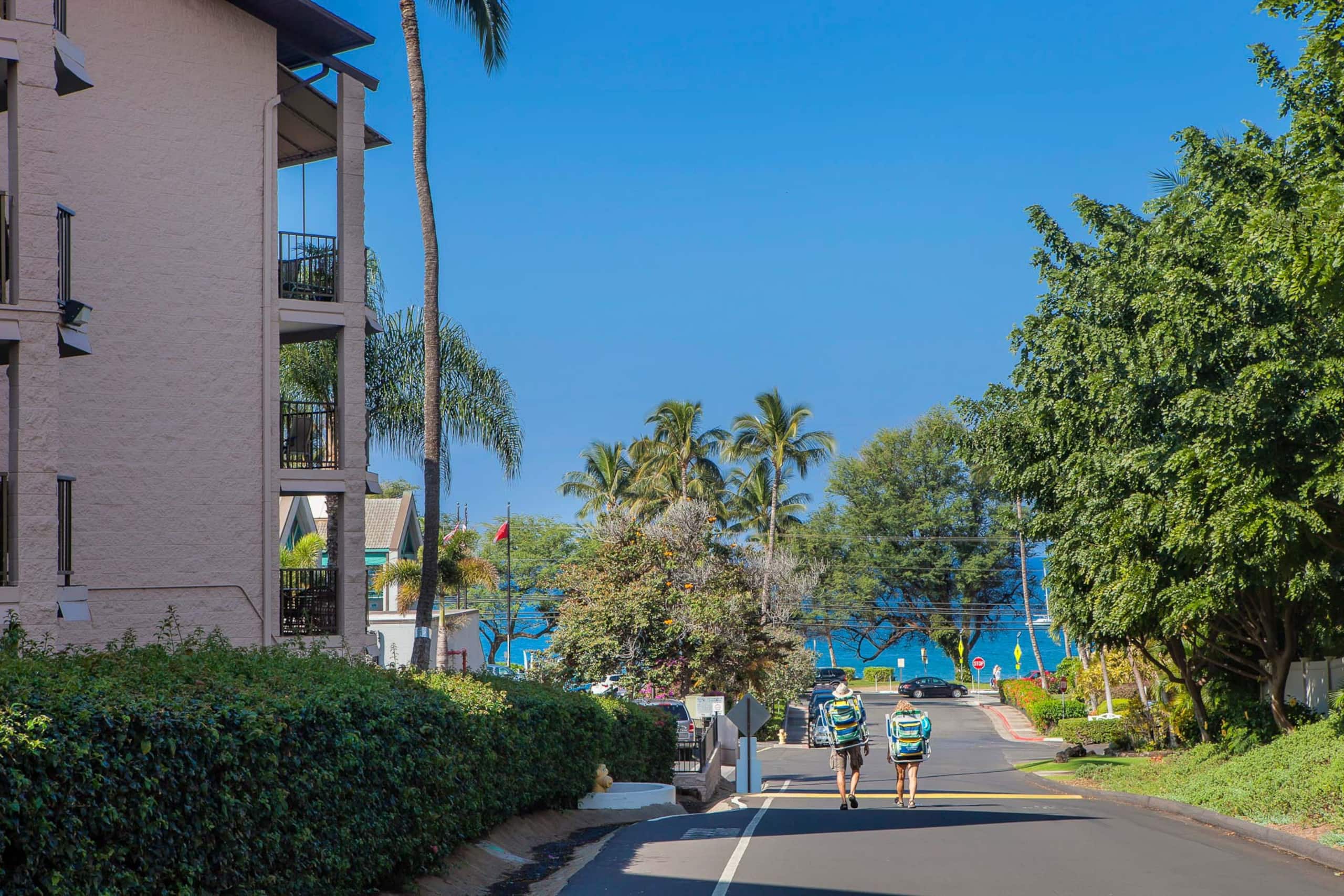 Condo in Kihei · ★4.97 · 1 bedroom · 1 bed · 1 bath - Image 47