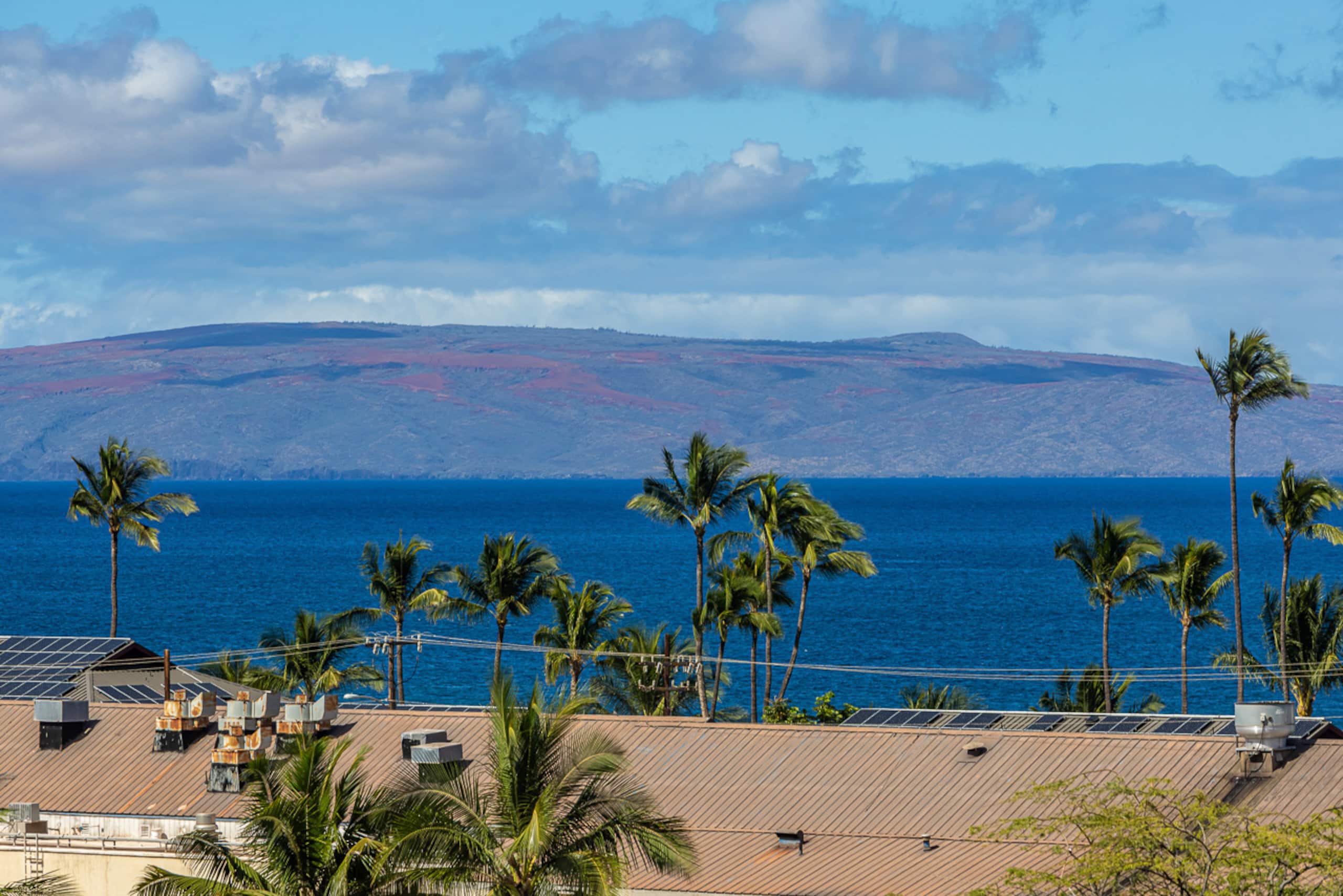 Condo in Kihei · ★4.97 · 1 bedroom · 1 bed · 1 bath - Image 62