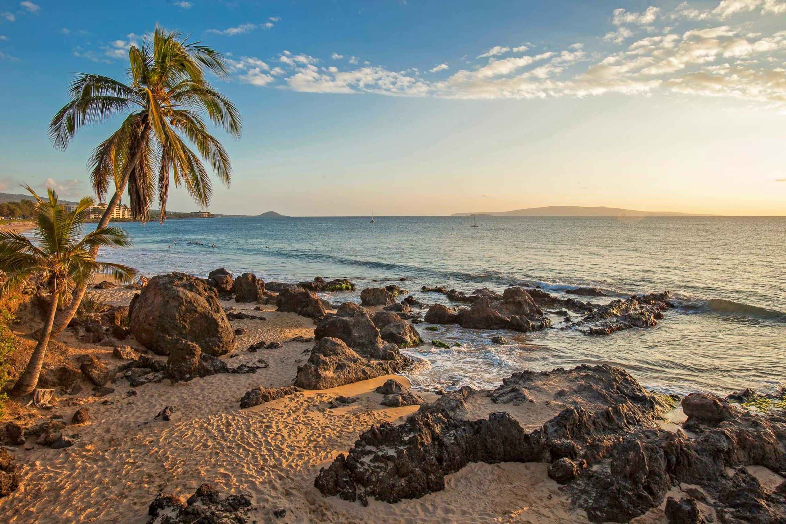 Condo in Kihei · ★4.97 · 1 bedroom · 1 bed · 1 bath - Image 69