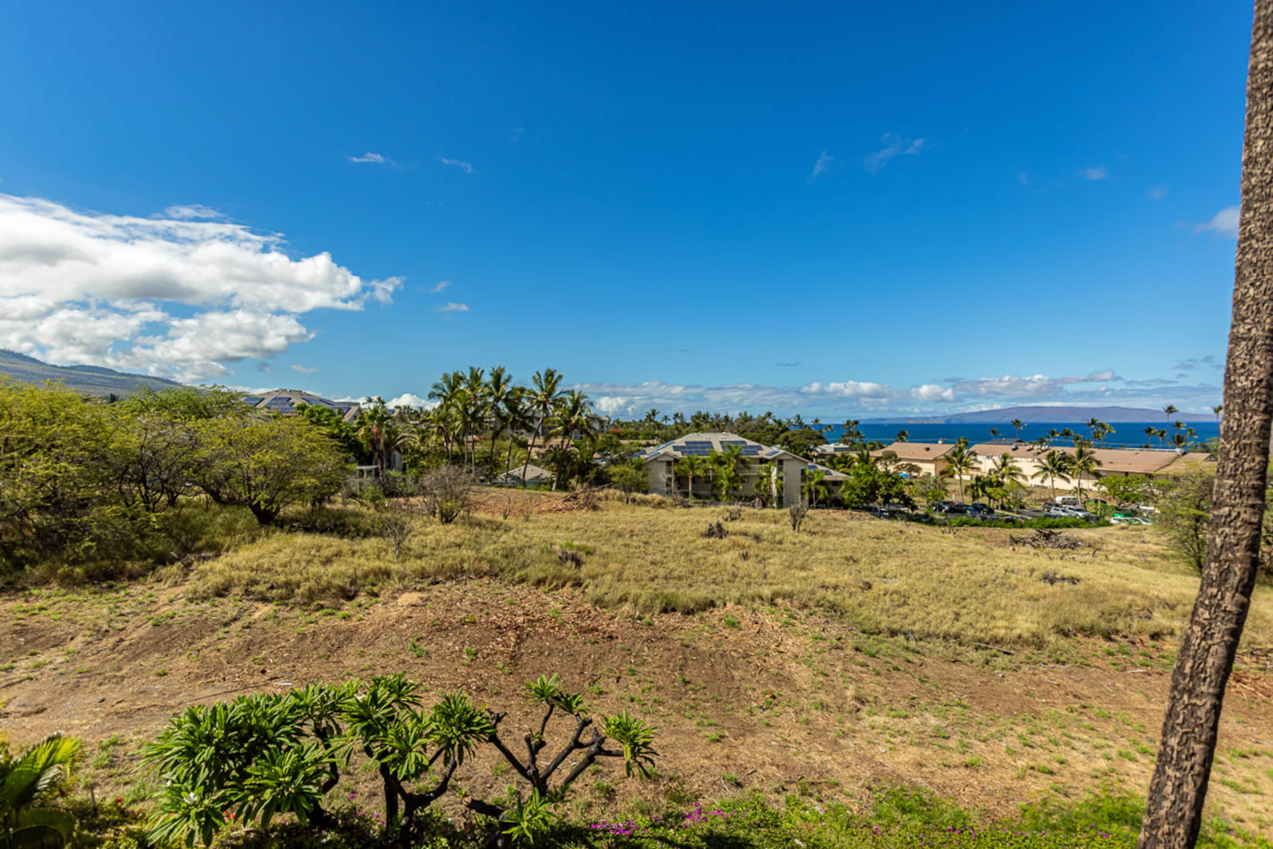 Condo in Kihei · ★4.97 · 1 bedroom · 1 bed · 1 bath - Image 64