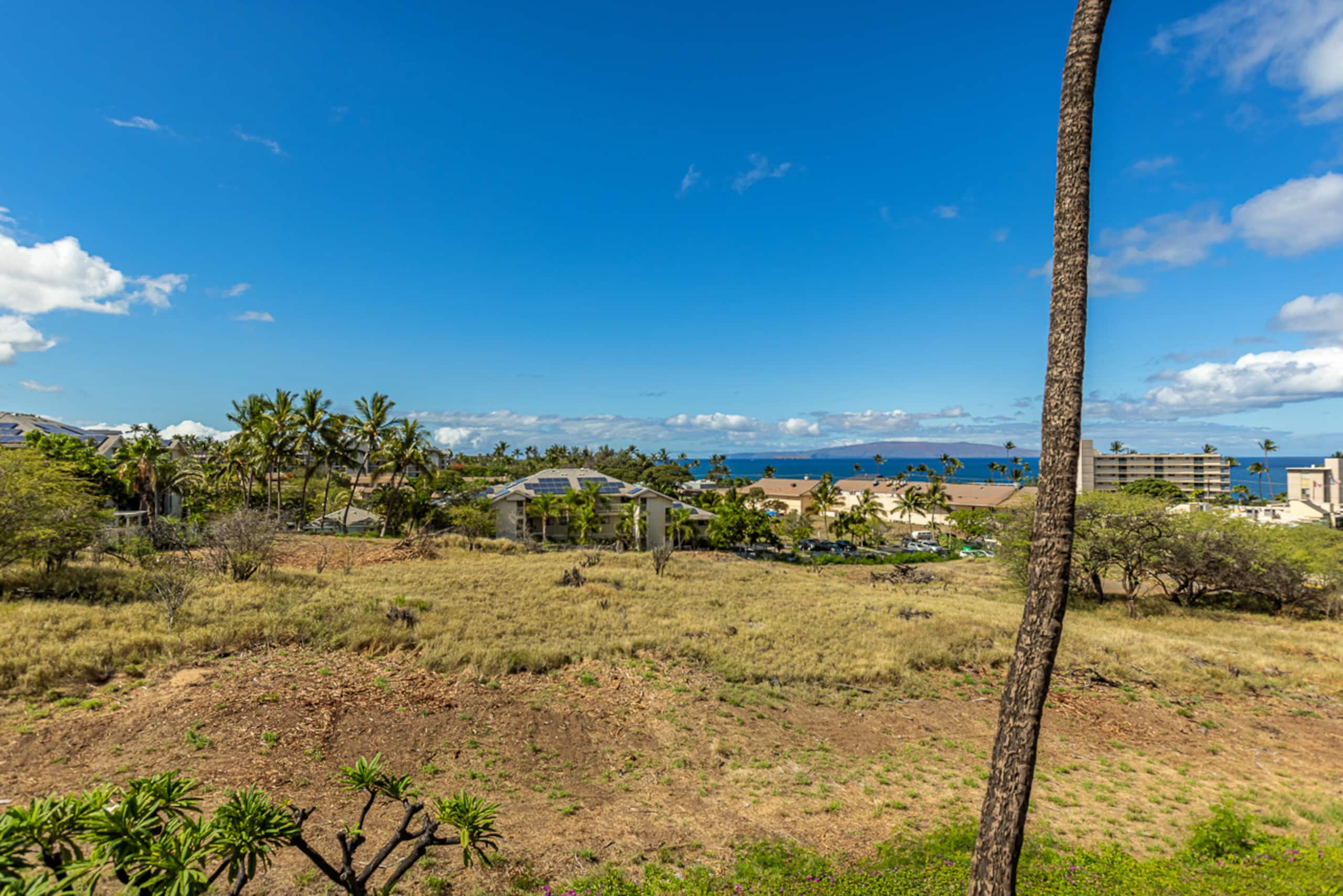 Condo in Kihei · ★4.97 · 1 bedroom · 1 bed · 1 bath - Image 50