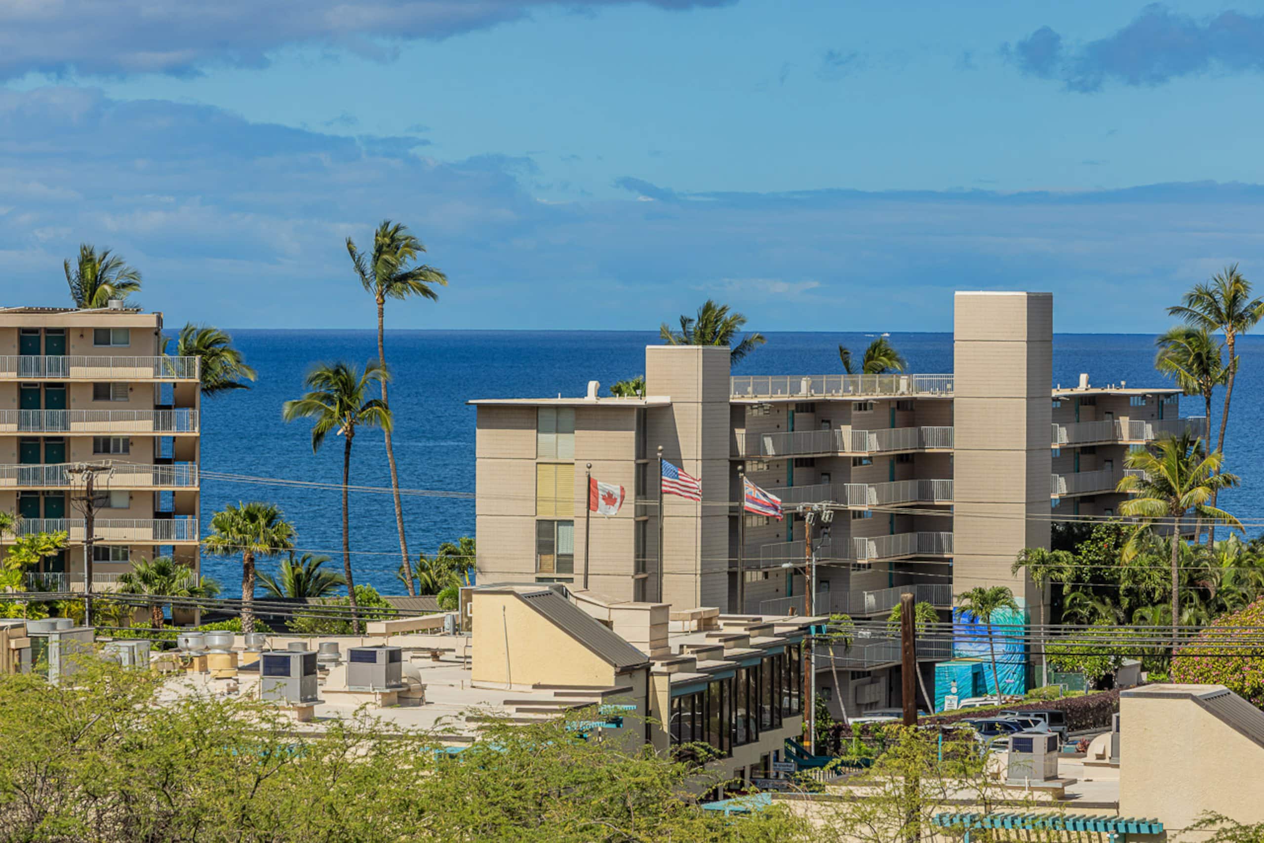 Condo in Kihei · ★4.97 · 1 bedroom · 1 bed · 1 bath - Image 60