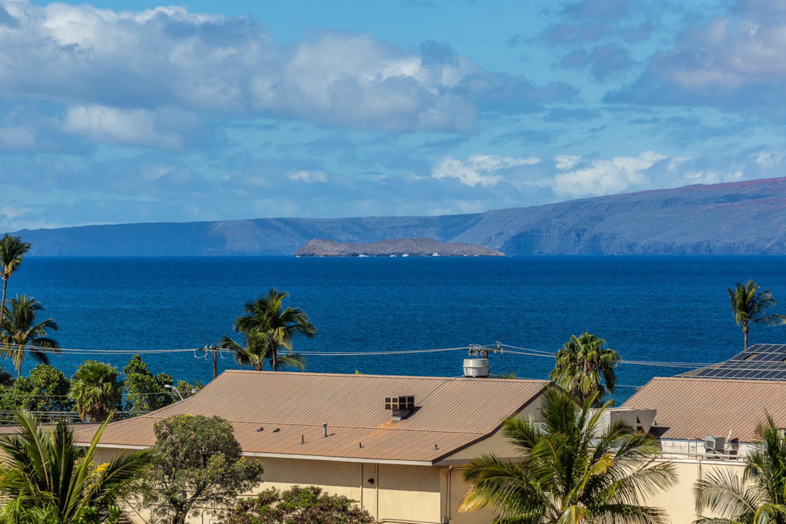 Condo in Kihei · ★4.97 · 1 bedroom · 1 bed · 1 bath - Image 63