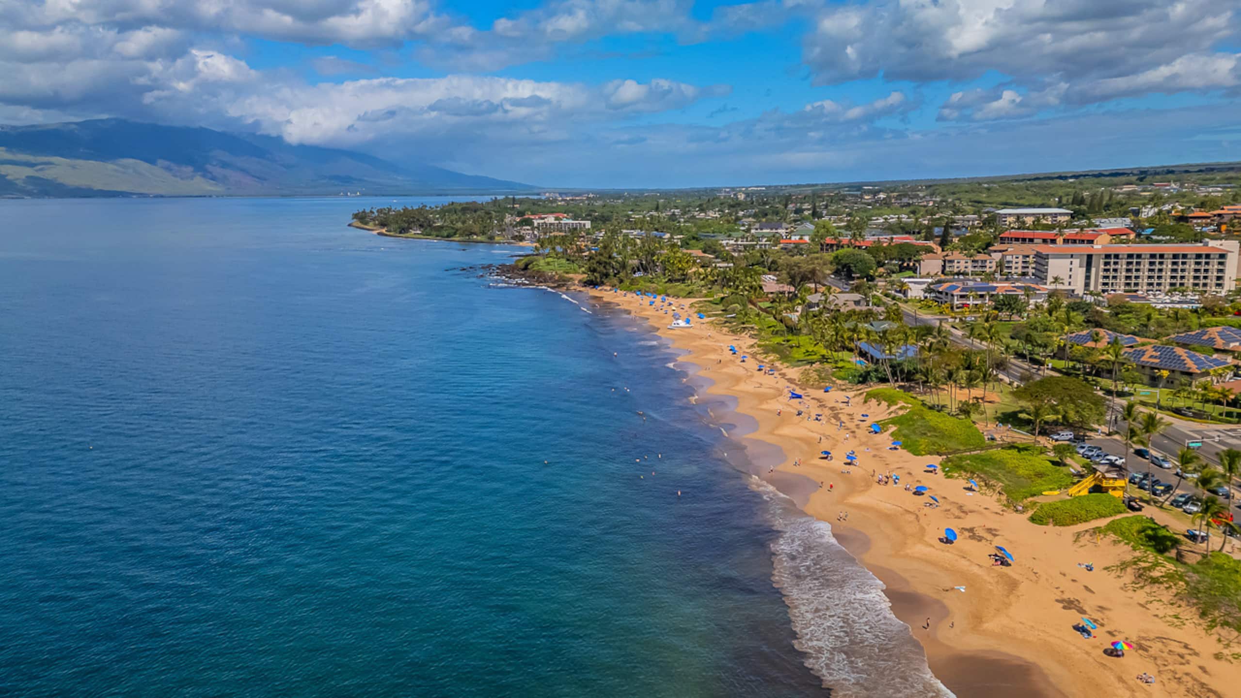 Condo in Kihei · ★4.97 · 1 bedroom · 1 bed · 1 bath - Image 58