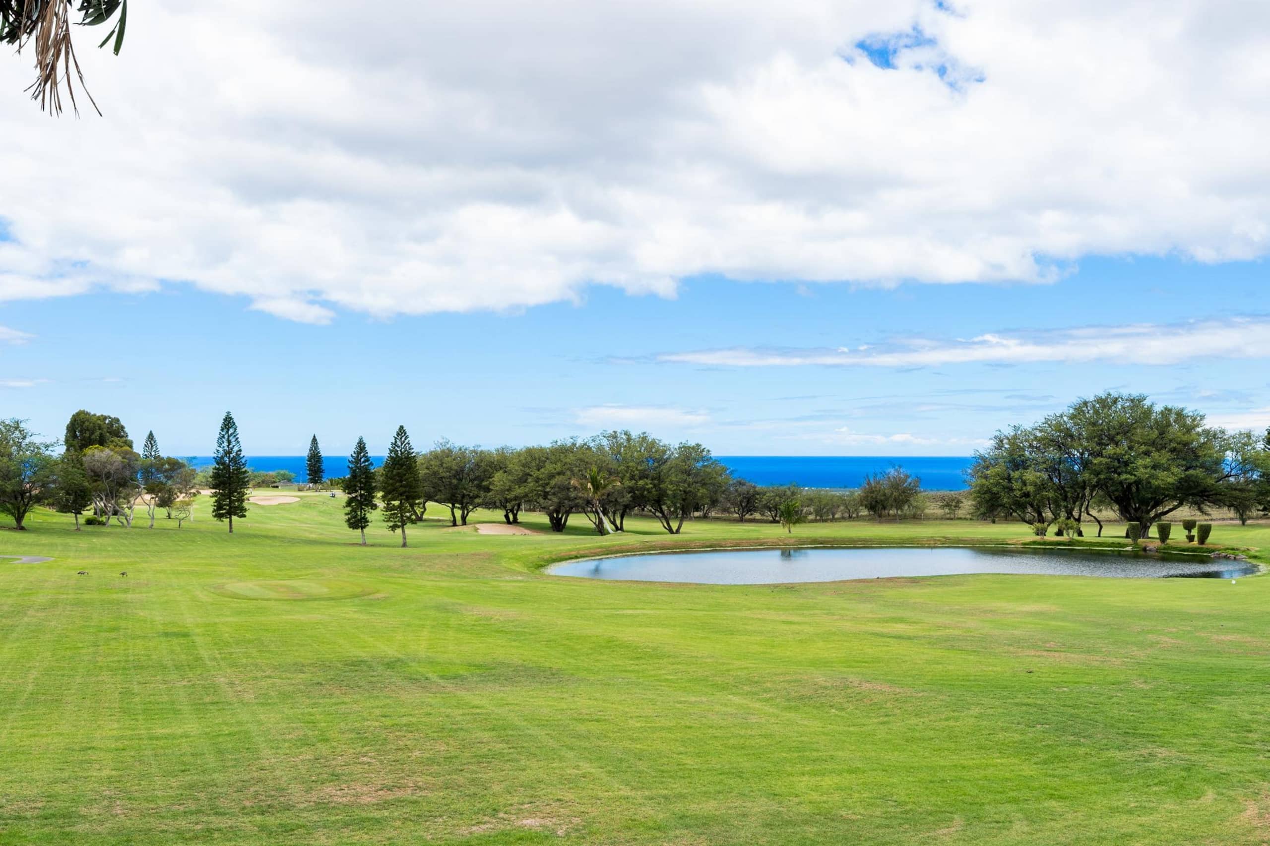 Golf course condo w/ ocean view lanai - Photo 43