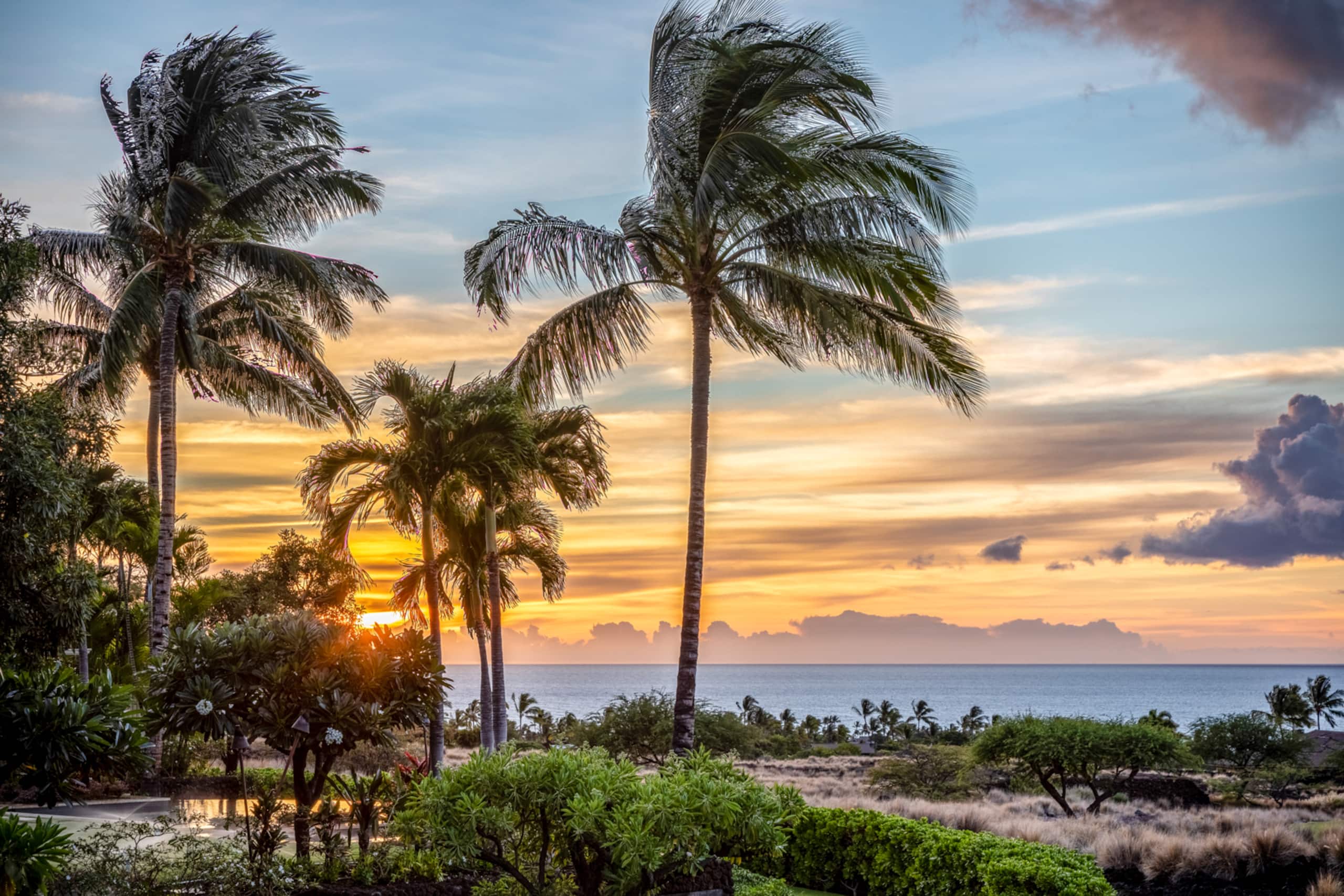 Home in Kailua-Kona · ★5.0 · 4 bedrooms · 4 beds · 4.5 baths - Image 42
