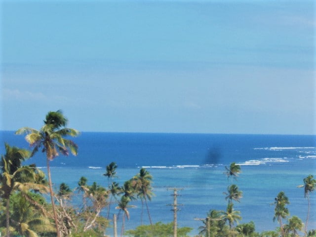A serene ocean view is presented, with the Koro Sea stretching into the horizon. Tropical palm trees are visible in the foreground, swaying gently in the breeze. The clear blue sky complements the tranquil waters, enhancing the overall sense of relaxation.