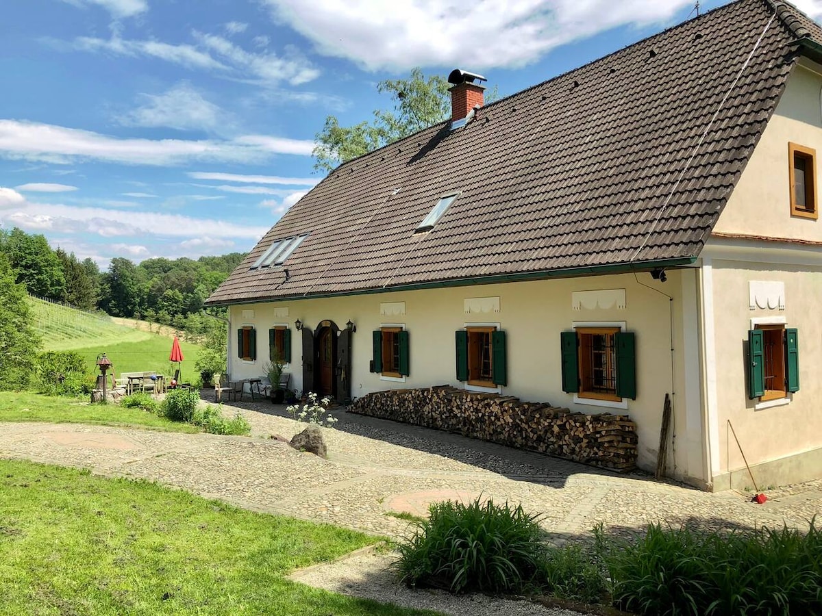 A charming historical manor house is depicted, featuring a sloped roof with skylights and decorative shutters. The building is surrounded by a lush green landscape, with a seating area and firewood stacked near the entrance. Clear blue skies add to the serene setting.
