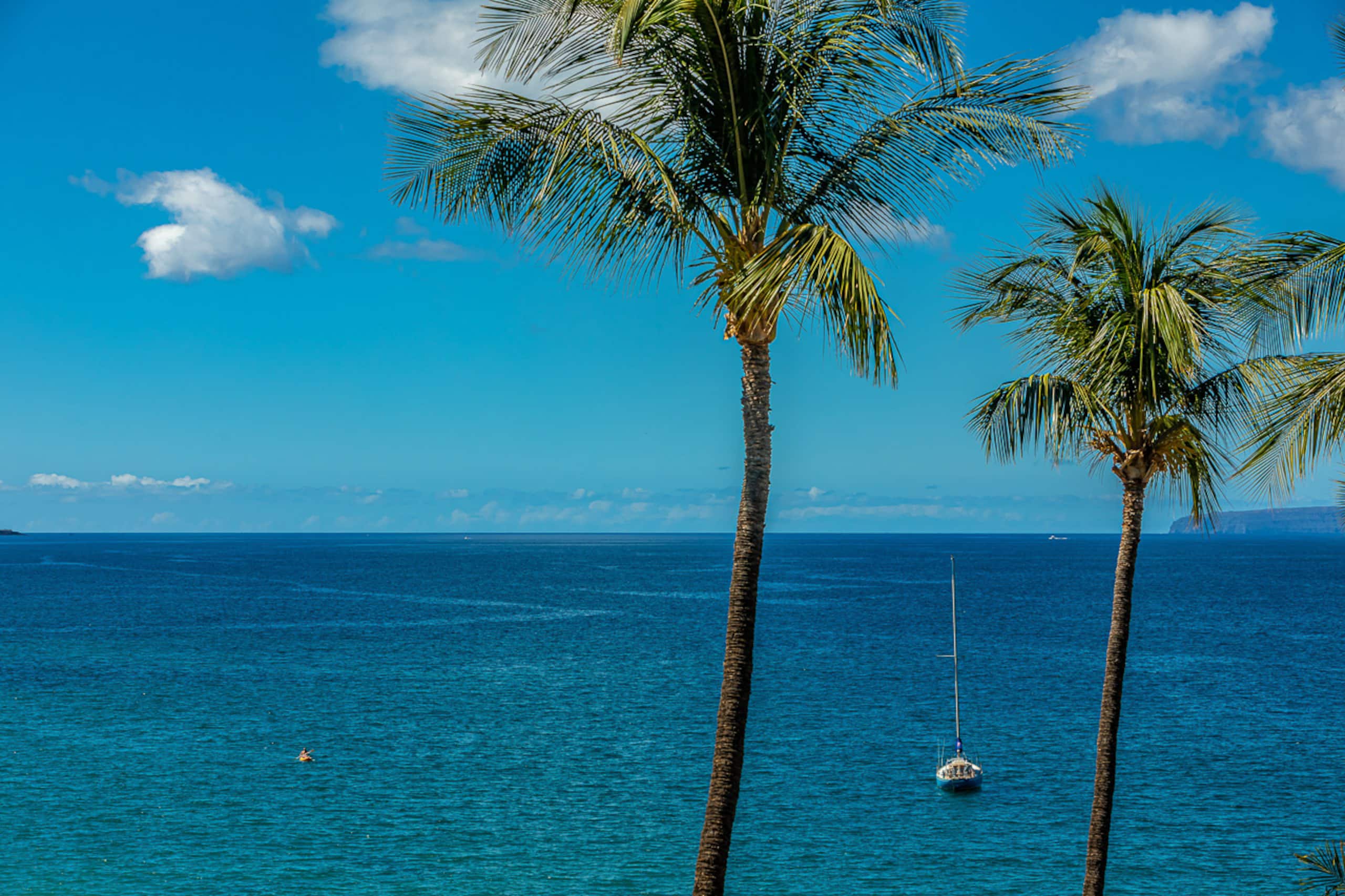 Condo in Kihei · ★4.88 · 2 bedrooms · 3 beds · 2 baths - Image 33