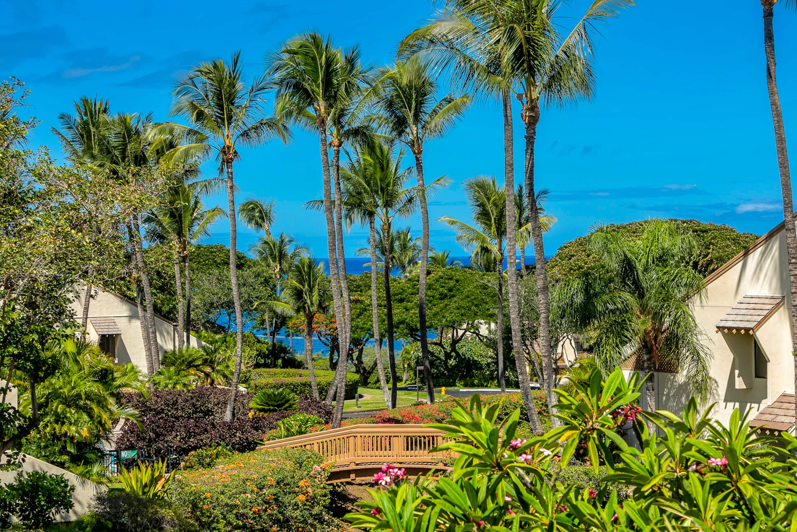 Condo in Kihei · ★4.81 · 1 bedroom · 2 beds · 2 baths - Image 38