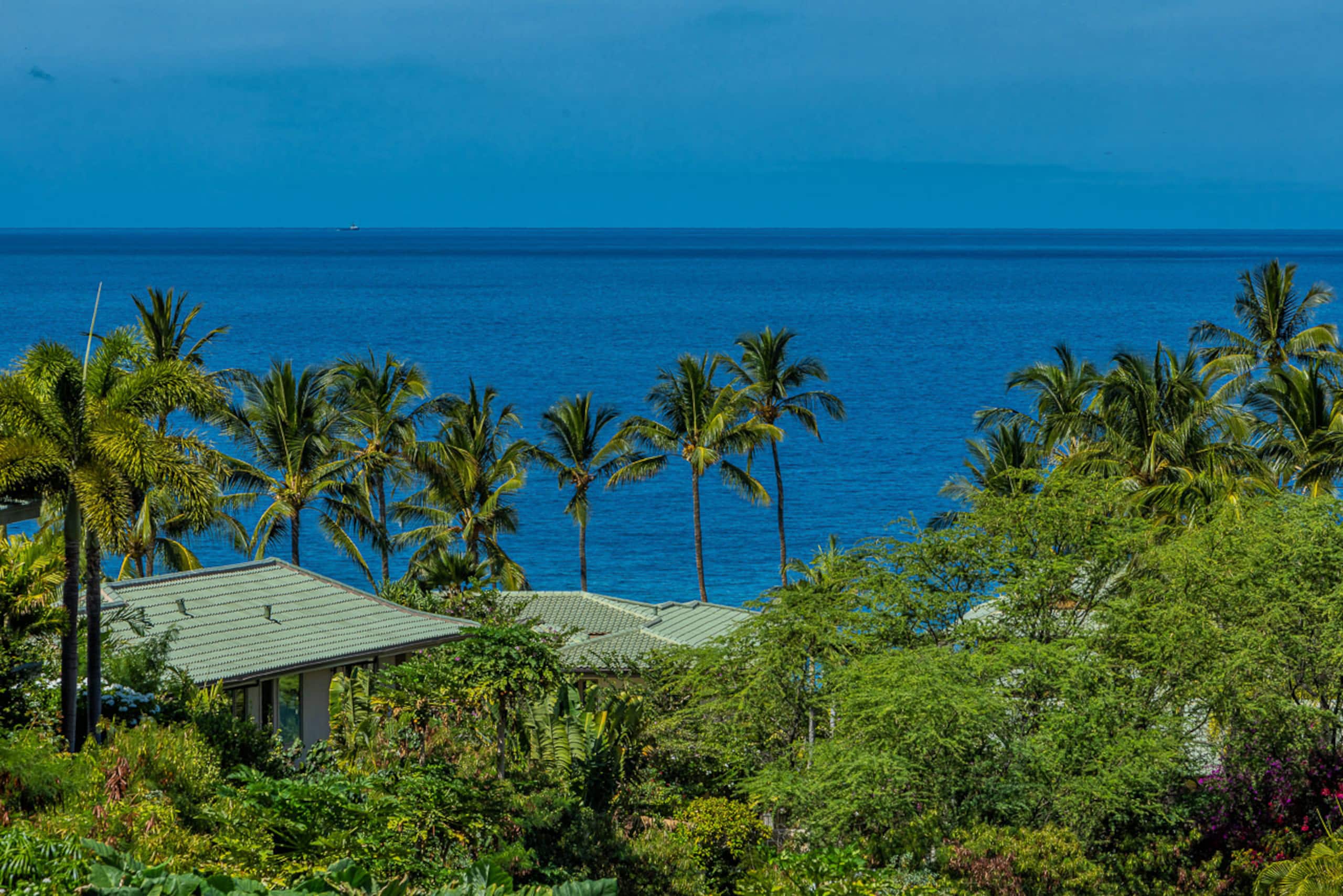 Condo in Kihei · ★4.86 · 1 bedroom · 1 bed · 1 bath - Image 4
