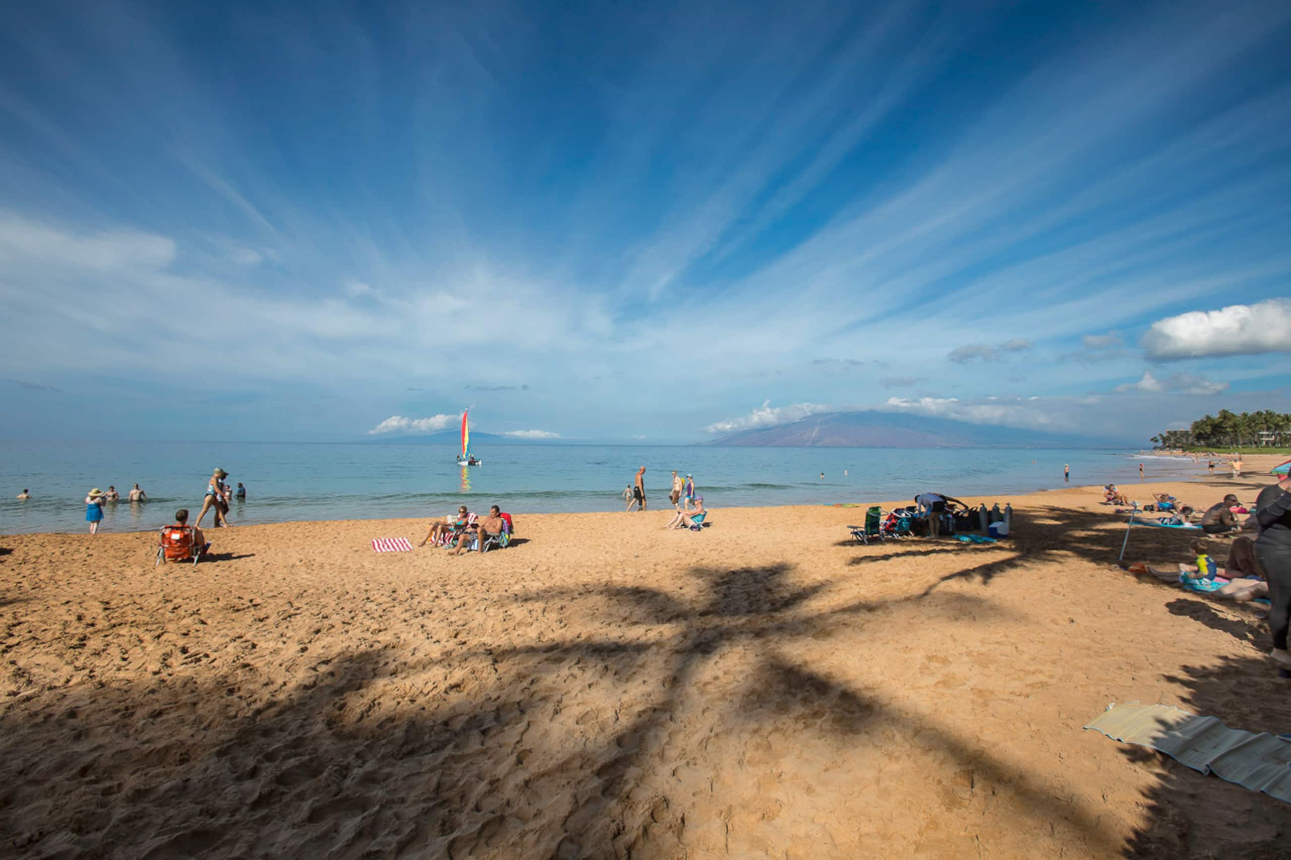 Condo in Kihei · ★4.86 · 1 bedroom · 1 bed · 1 bath - Image 66
