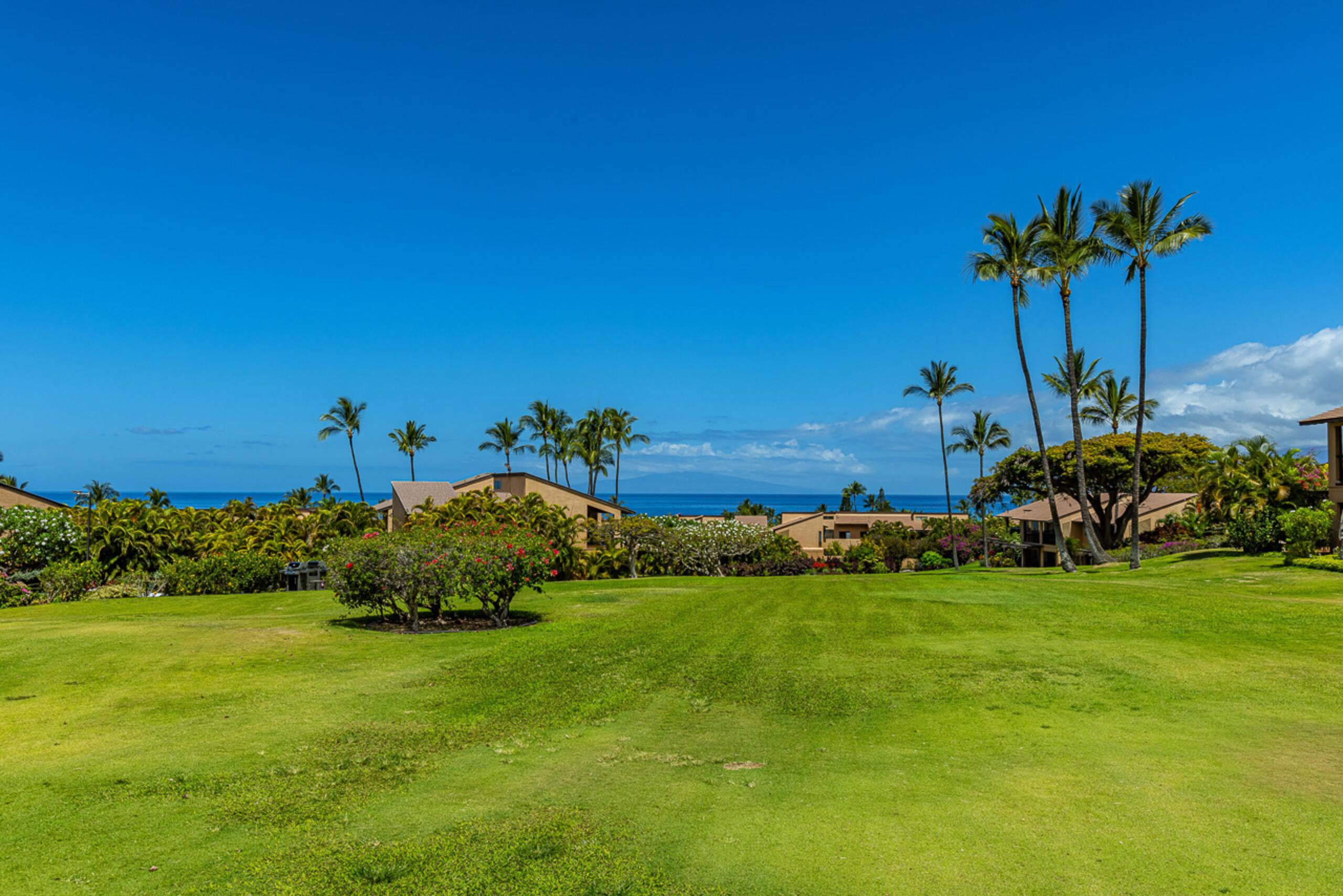 Condo in Kihei · ★4.86 · 1 bedroom · 1 bed · 1 bath - Image 55