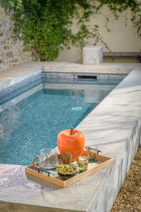 The Annex of Alpilles Village House Swimming Pool