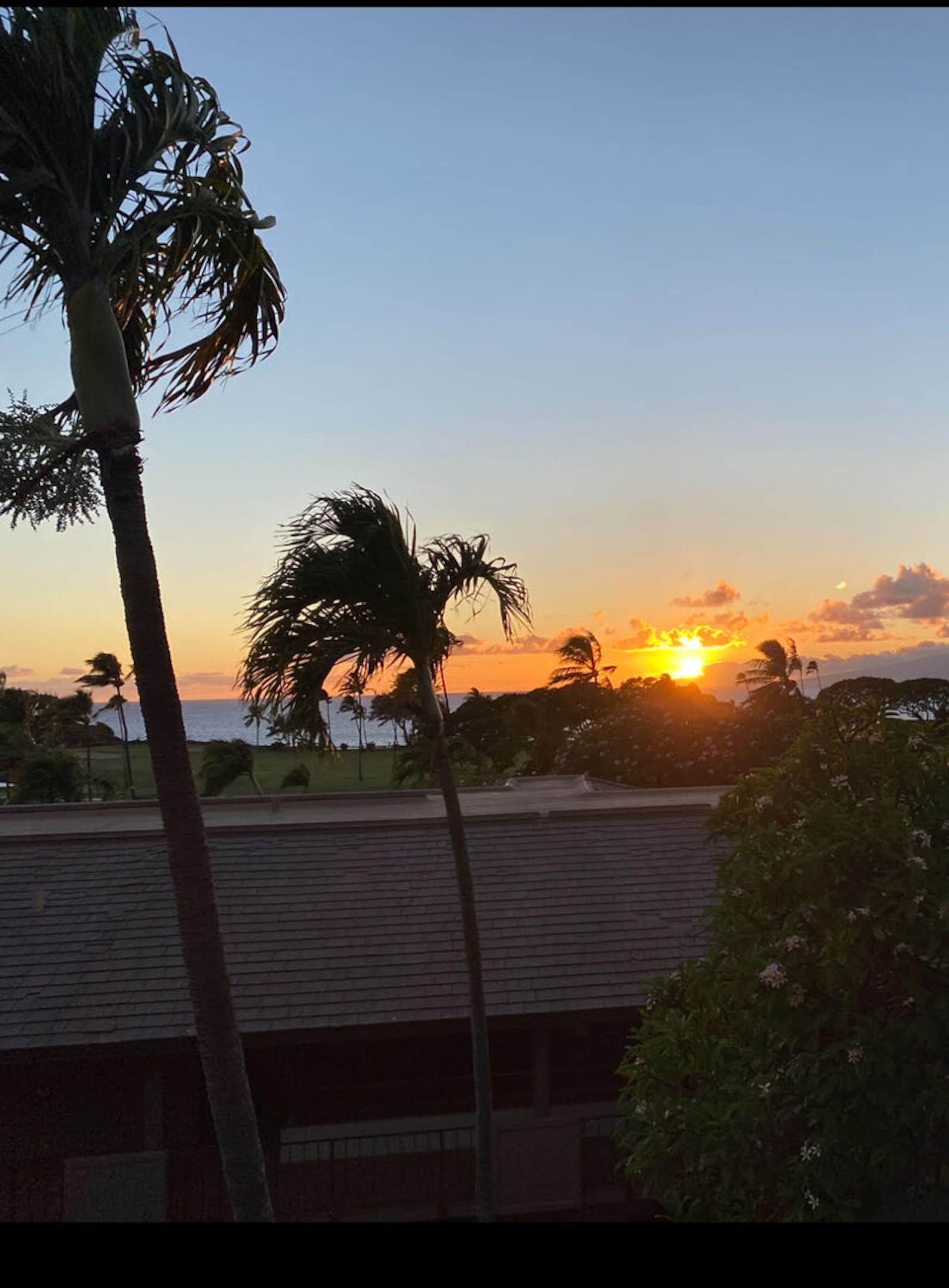 Condo in Lahaina · ★4.71 · 1 bedroom · 2 beds · 1 private bath - Image 23