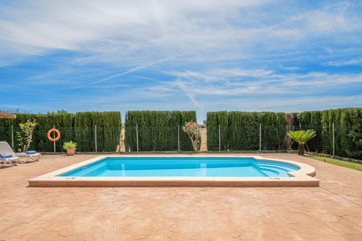 Can grau petit gallery image 3