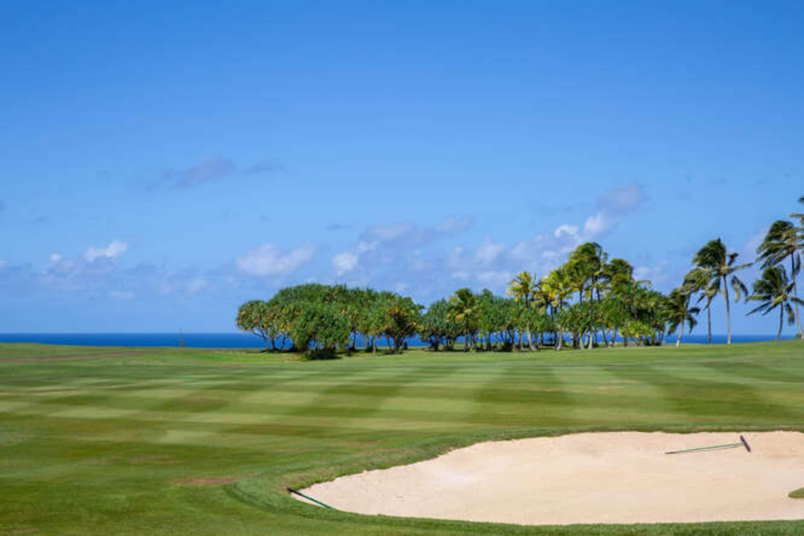 Condo in Princeville · ★4.99 · 2 bedrooms · 2 beds · 2 baths - Image 26