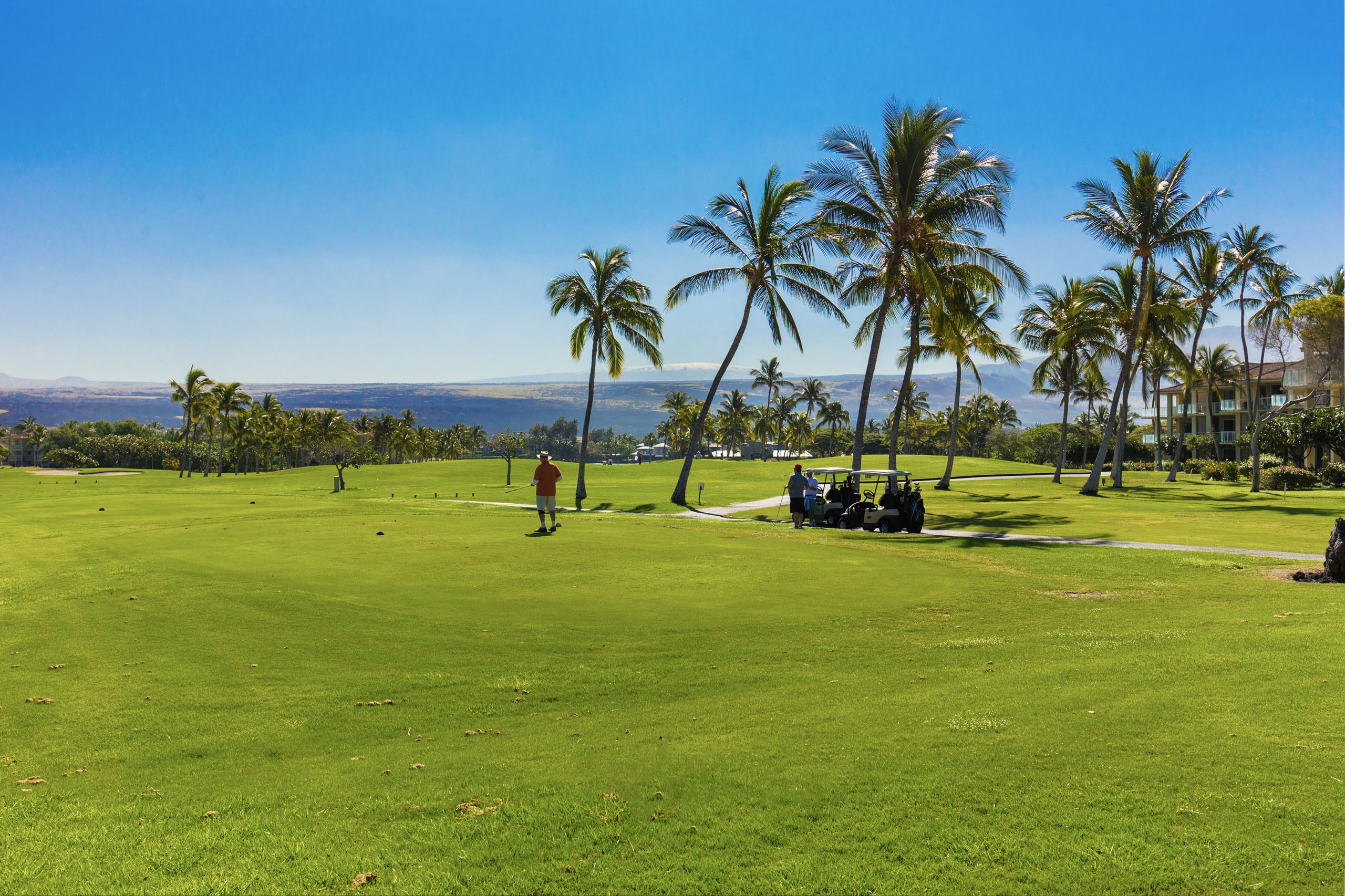 Waikoloa Resort Oasis Pool, Hot Tub & Waterfront - Photo 40