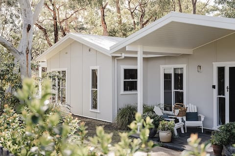 Scribbly Gums Berrara