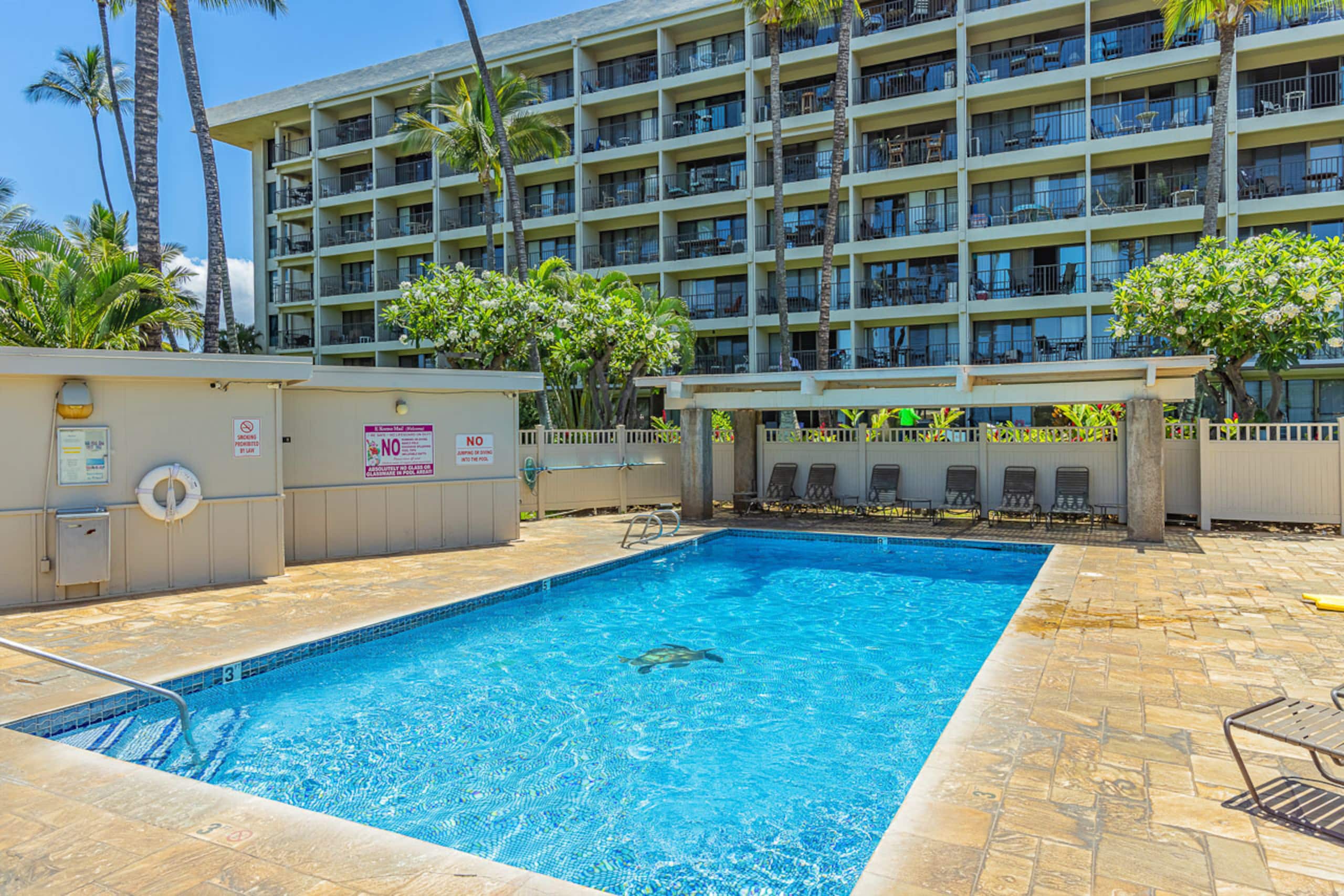 Condo in Kihei · ★4.88 · 2 bedrooms · 2 beds · 1.5 baths - Image 43
