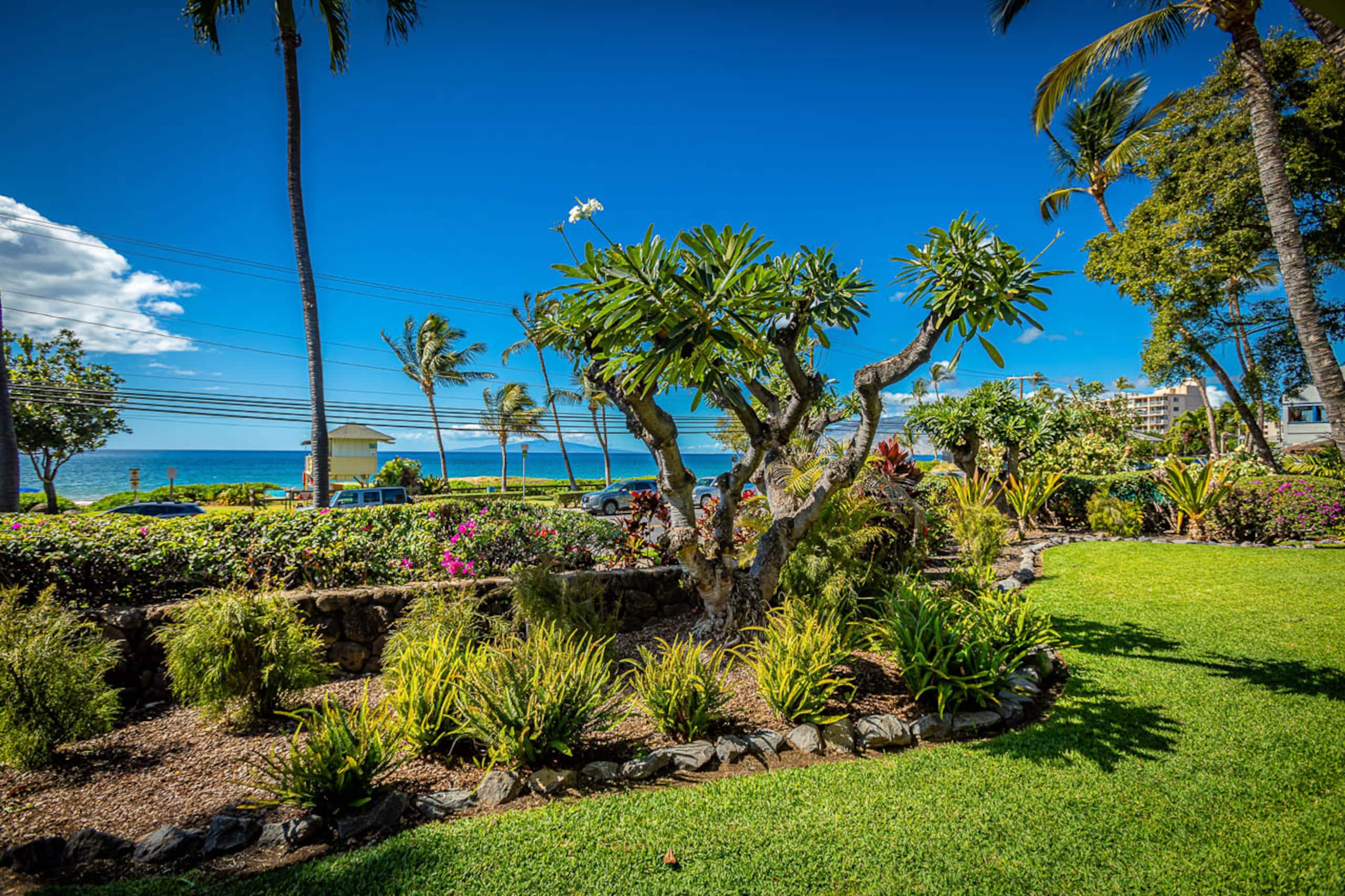 Condo in Kihei · ★4.88 · 2 bedrooms · 2 beds · 1.5 baths - Image 11