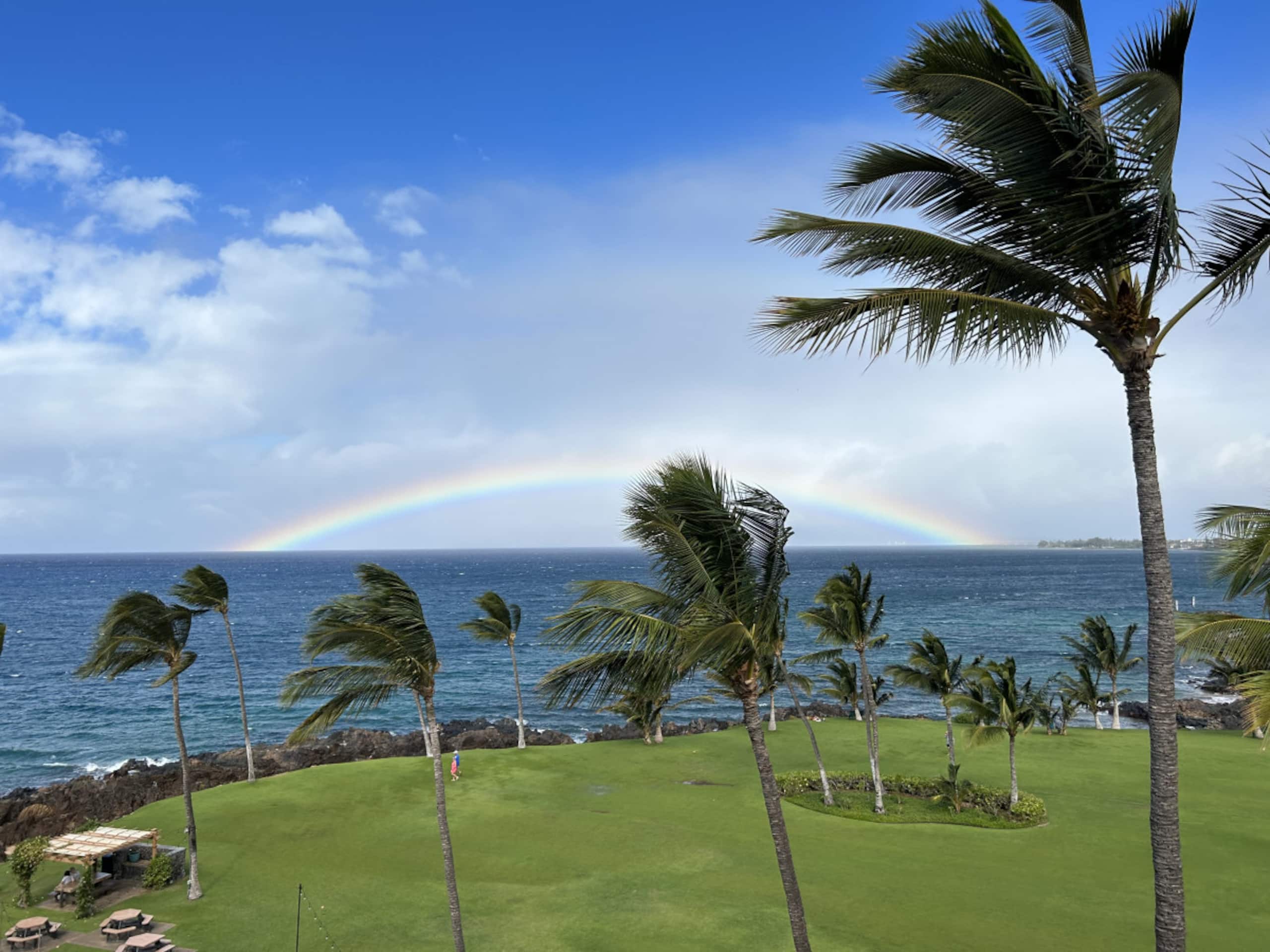 Condo in Kihei · ★4.9 · 1 bedroom · 2 beds · 1 bath - Image 32