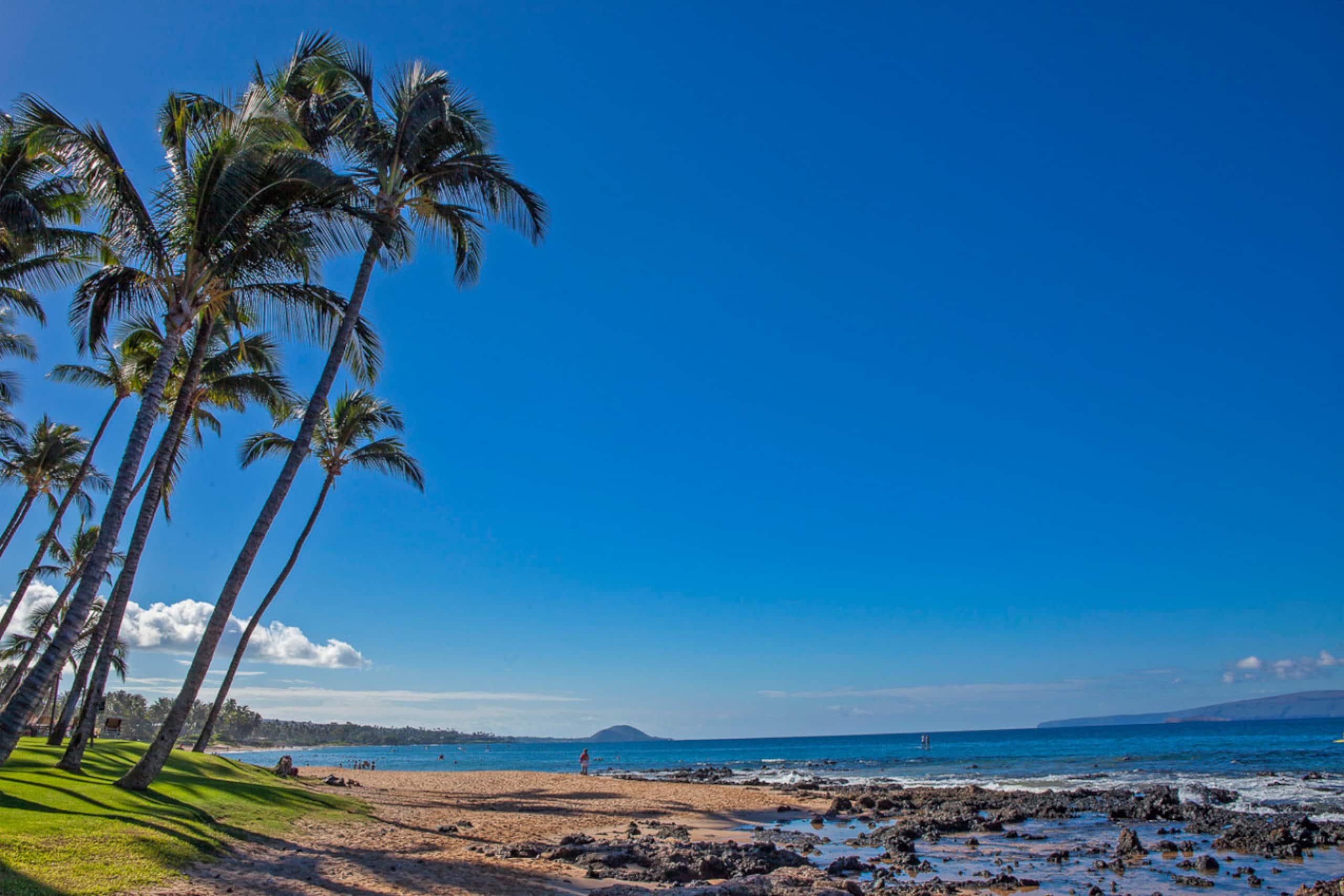 Condo in Kihei · ★4.9 · 1 bedroom · 2 beds · 1 bath - Image 39