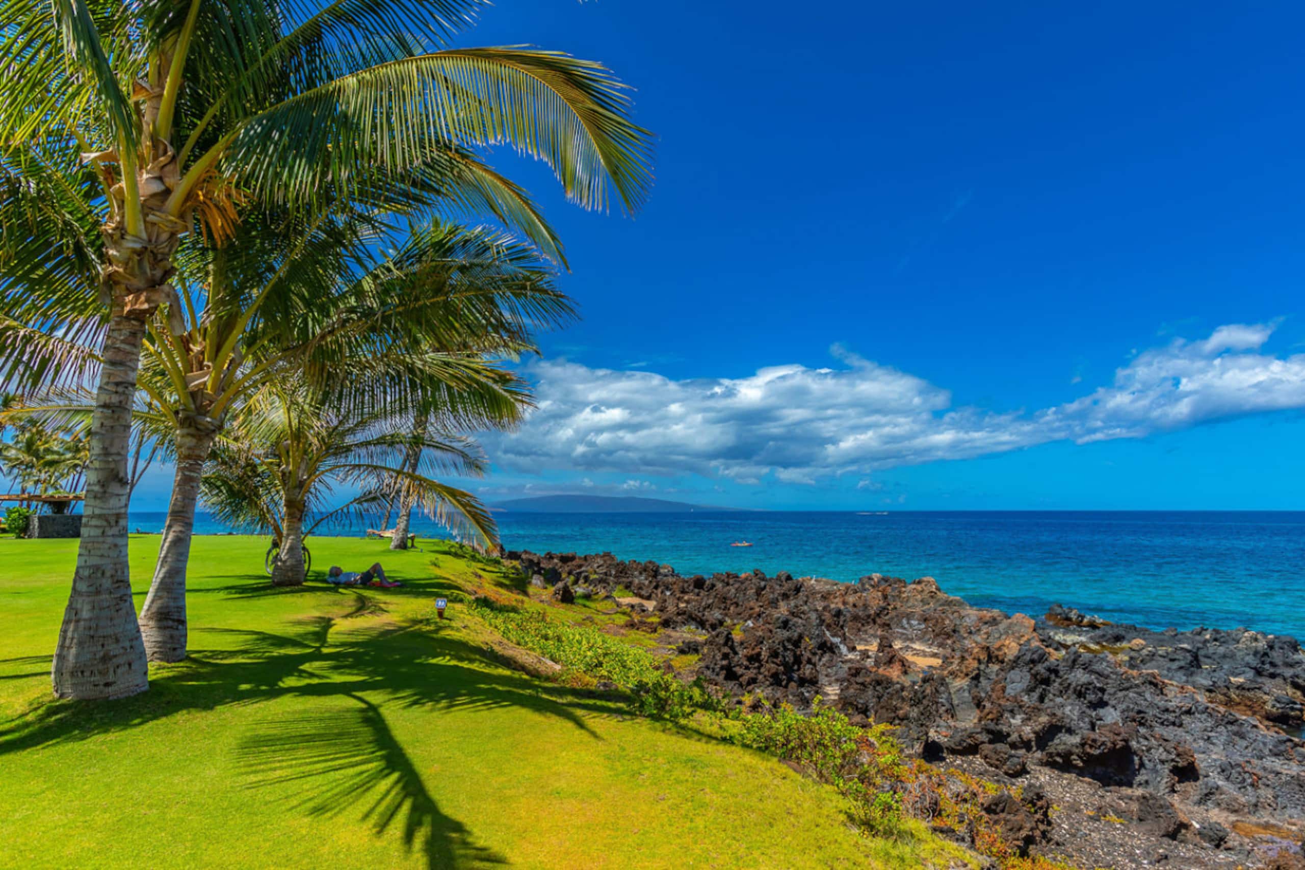 Condo in Kihei · ★4.9 · 1 bedroom · 2 beds · 1 bath - Image 36