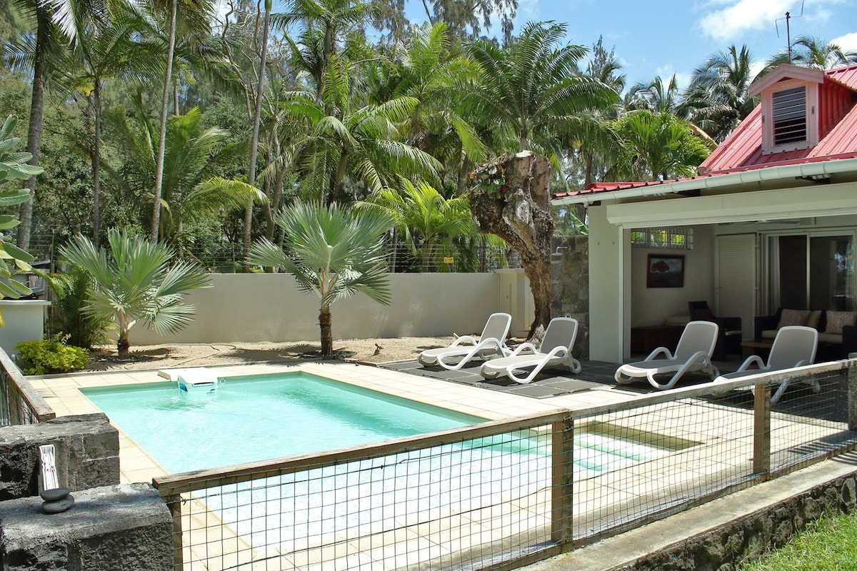 A serene outdoor pool area is framed by lush tropical vegetation. Light-colored loungers are positioned around the pool, inviting relaxation. A stone wall provides privacy, while the vibrant red roof of the villa contrasts nicely with the greenery.