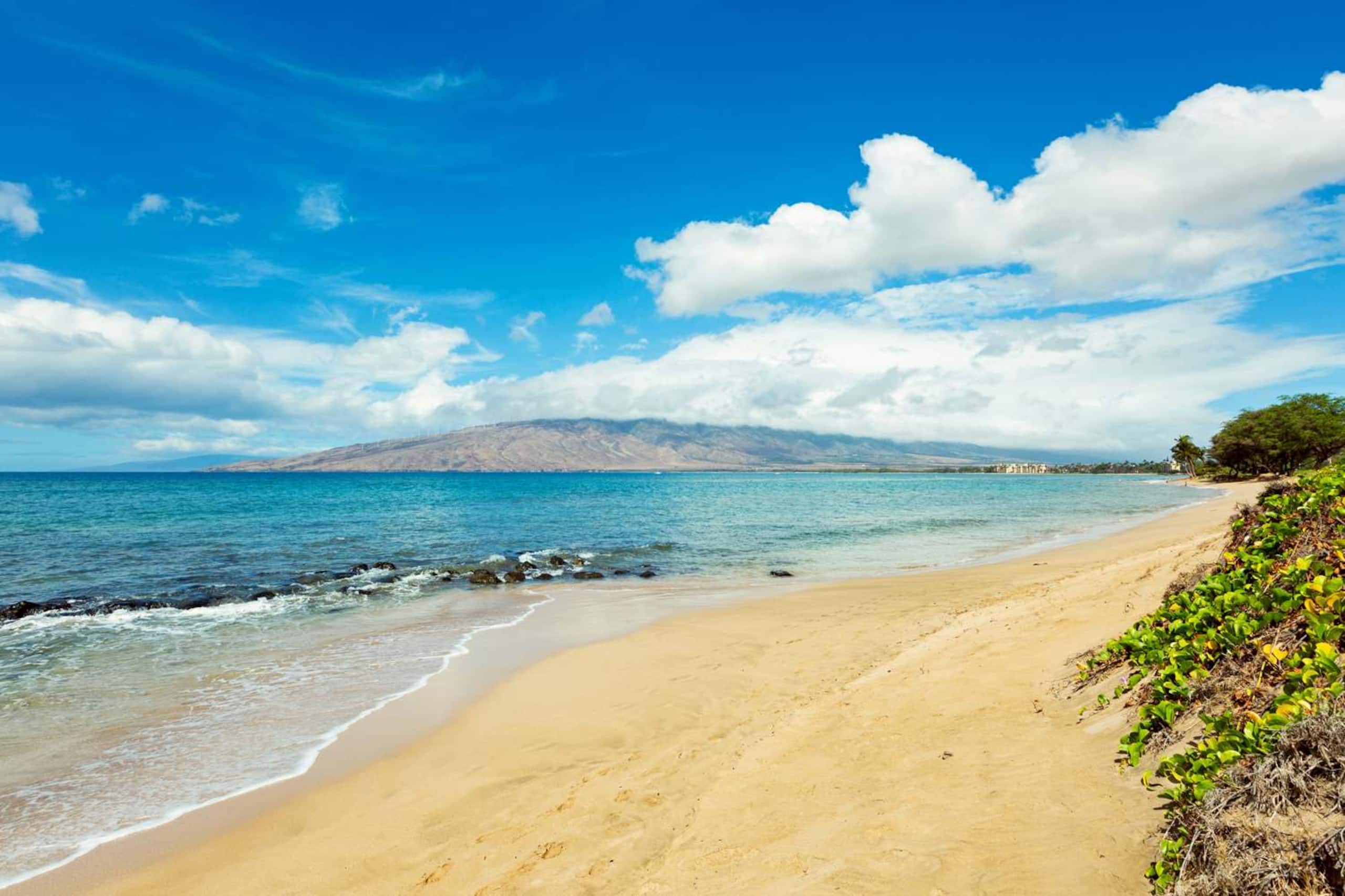 Condo in Kihei · ★4.87 · 2 bedrooms · 3 beds · 1 bath - Image 29