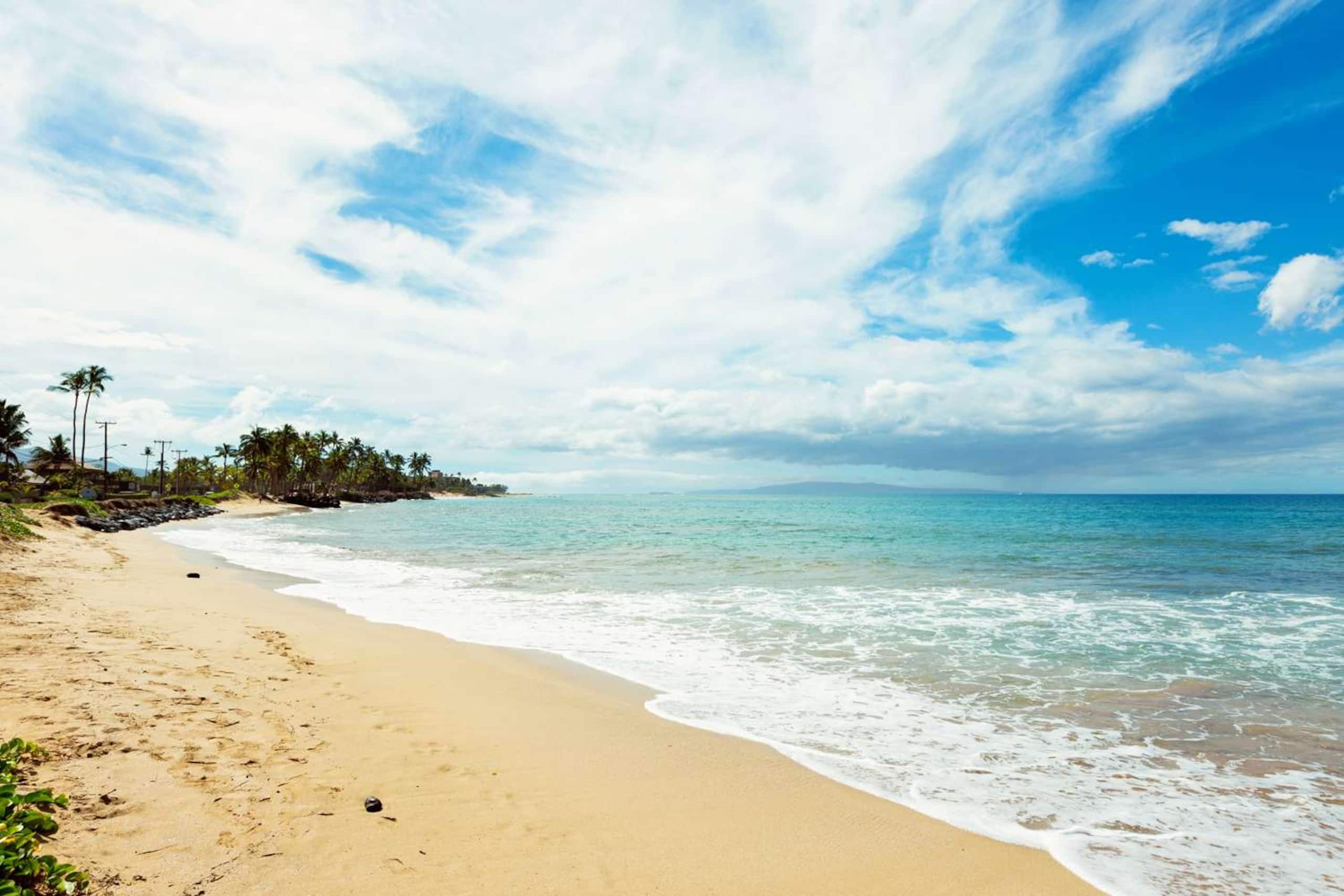Condo in Kihei · ★4.87 · 2 bedrooms · 3 beds · 1 bath - Image 37