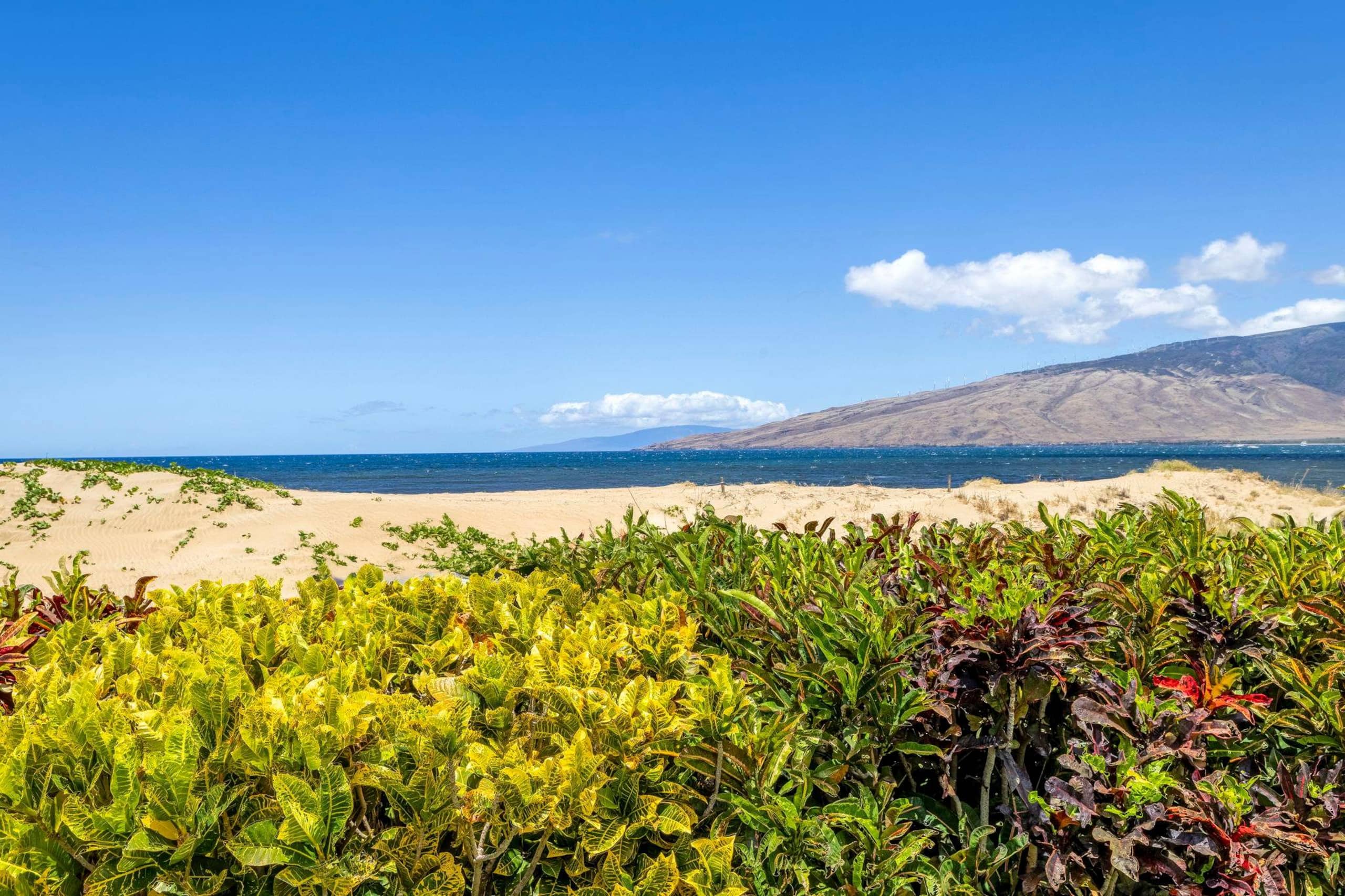 Condo in Kihei · ★4.87 · 2 bedrooms · 3 beds · 1 bath - Image 44