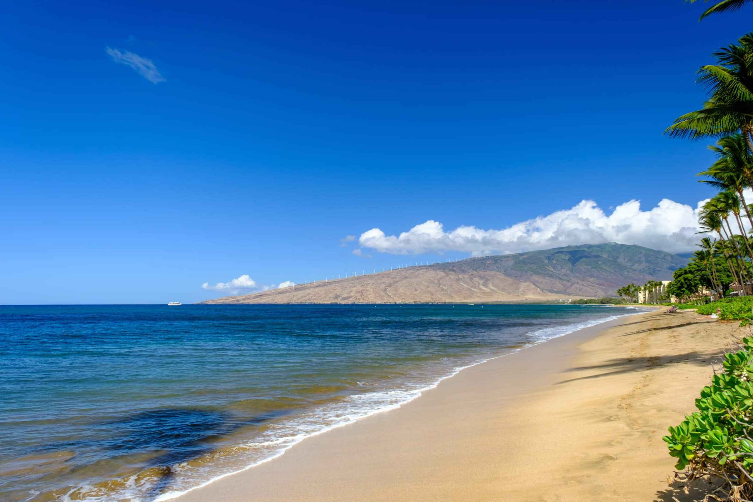 Condo in Kihei · ★4.87 · 2 bedrooms · 3 beds · 1 bath - Image 40