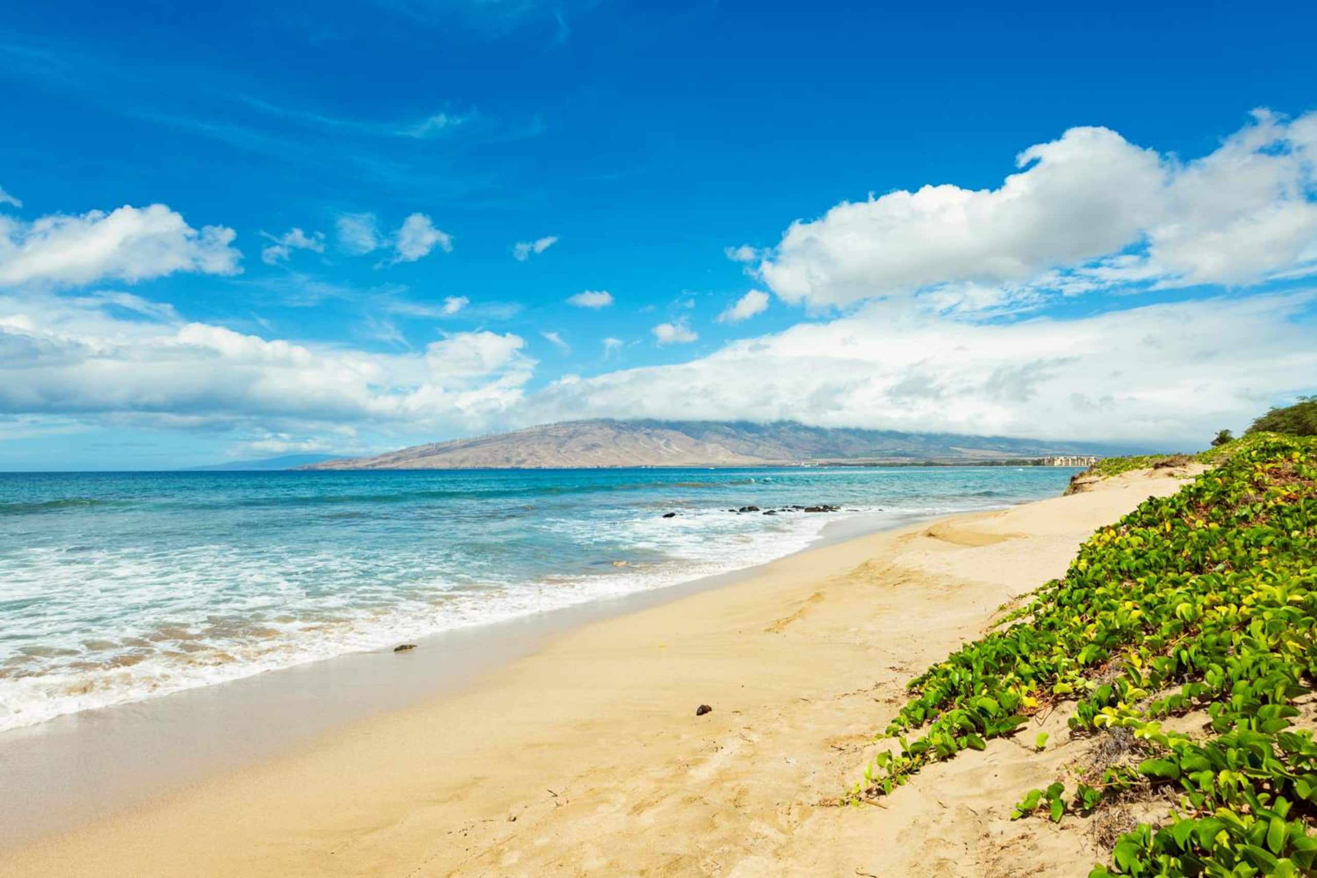 Condo in Kihei · ★4.87 · 2 bedrooms · 3 beds · 1 bath - Image 38