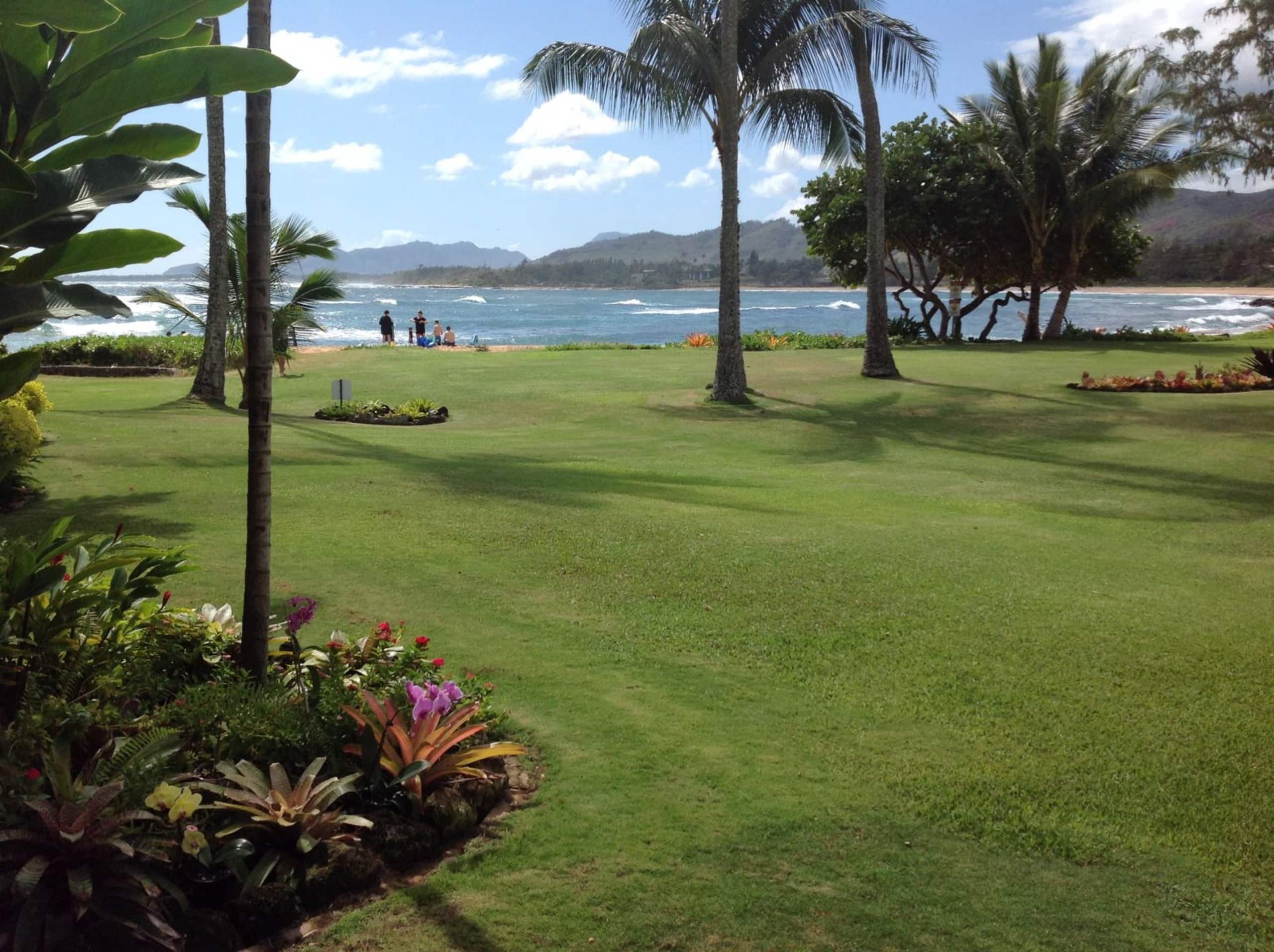 Condo in Kapaa · ★4.96 · 2 bedrooms · 3 beds · 2 baths - Image 30