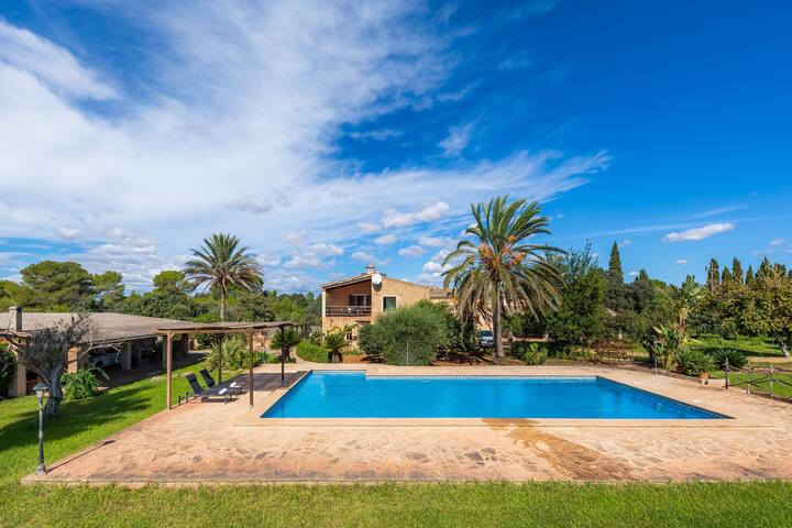 Cas Casai gallery image 3