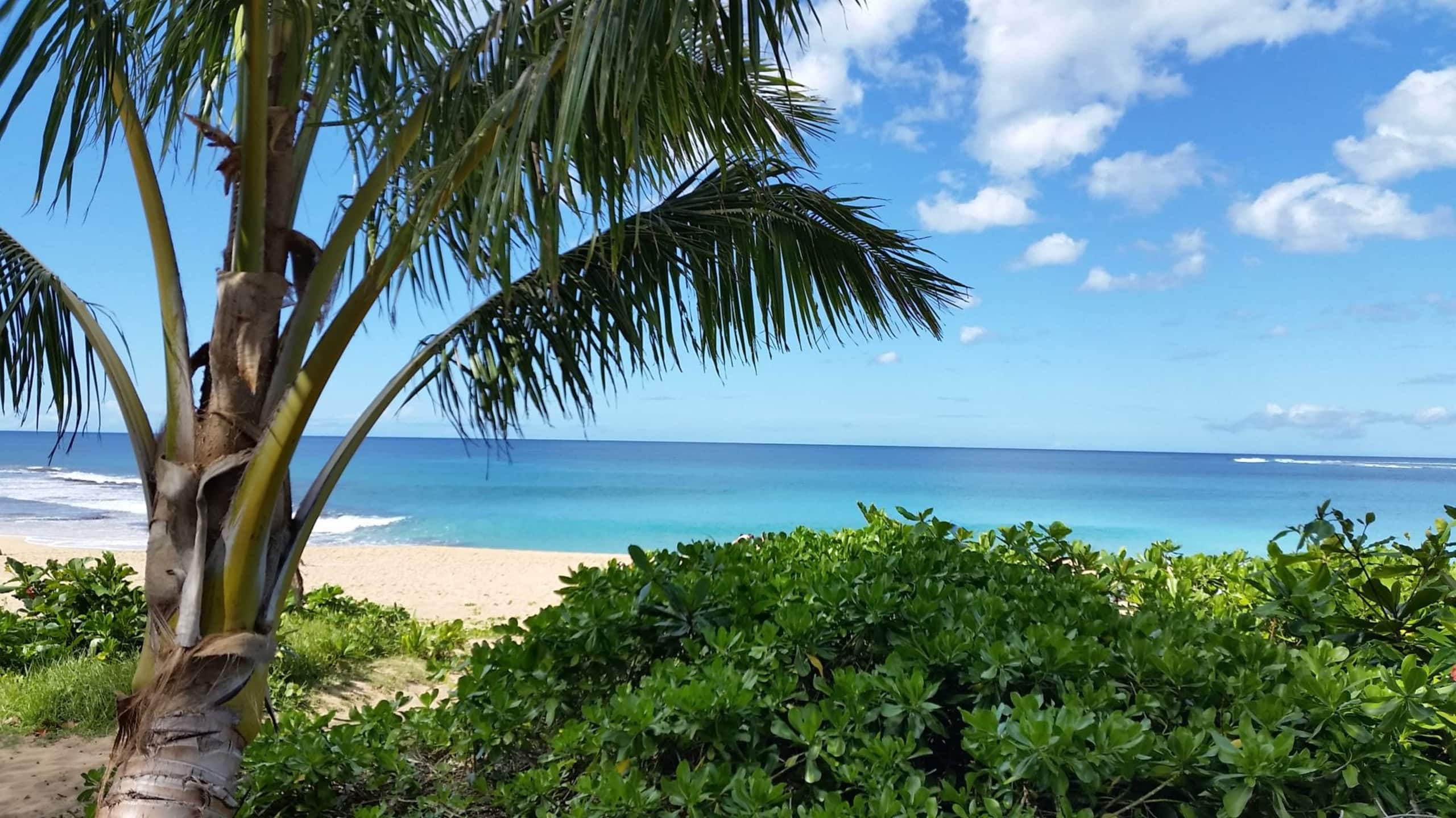 Condo in Kapaa · ★5.0 · 1 bedroom · 2 beds · 1.5 baths - Image 24
