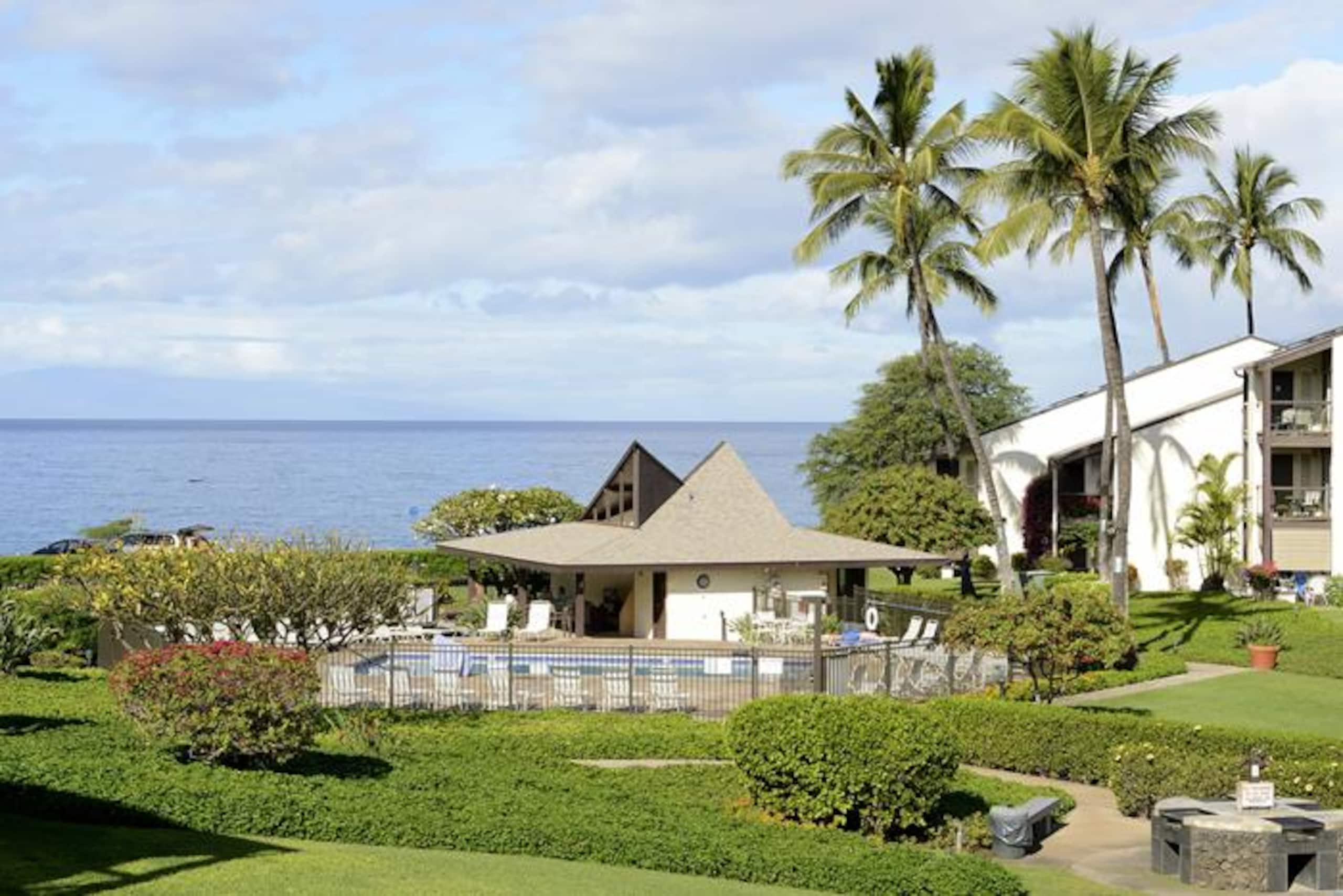 Condo in Kihei · ★4.86 · 2 bedrooms · 4 beds · No bathroom - Image 1