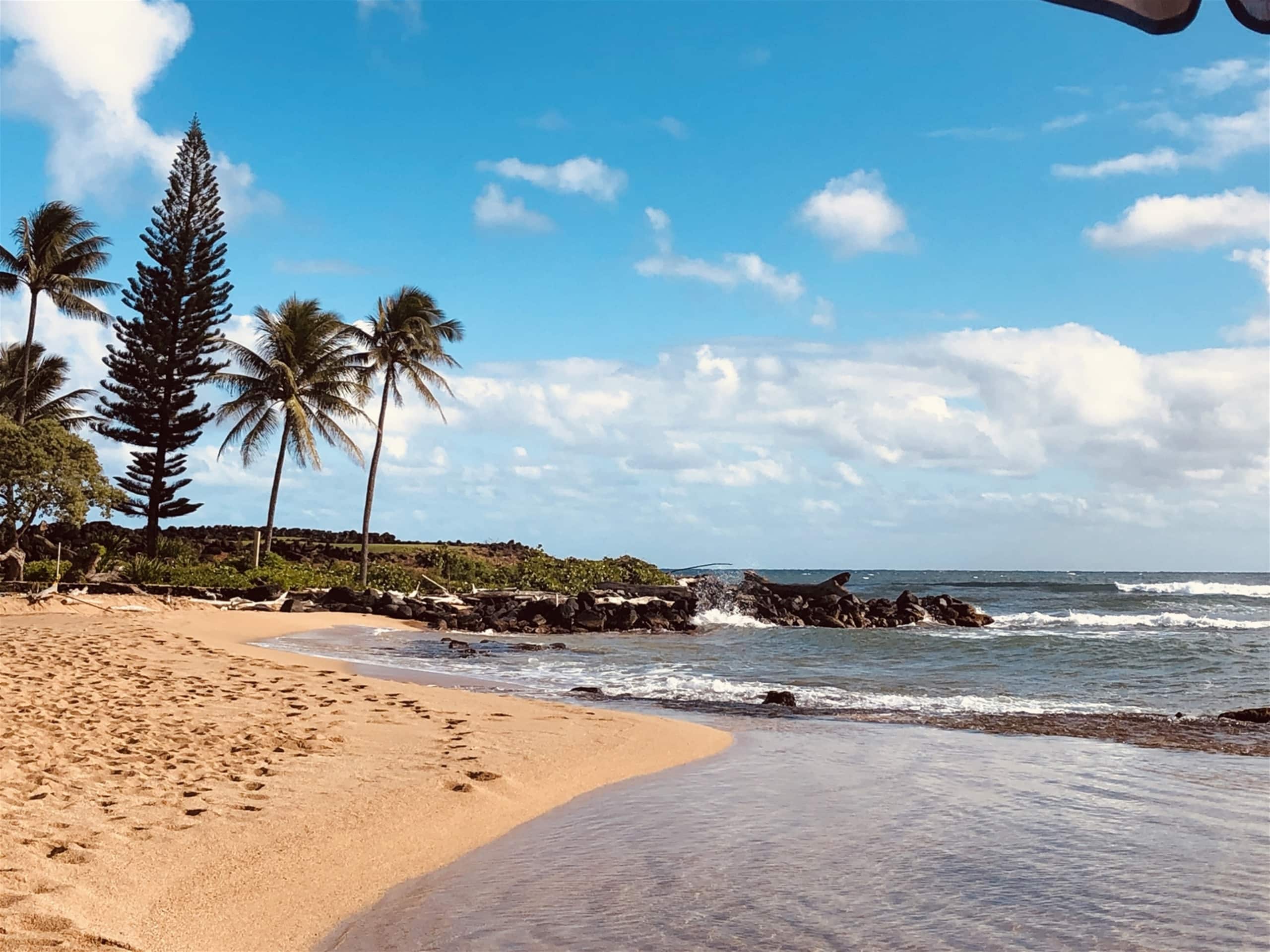Condo in Kapaa · ★4.97 · 2 bedrooms · 3 beds · 2 baths - Image 20